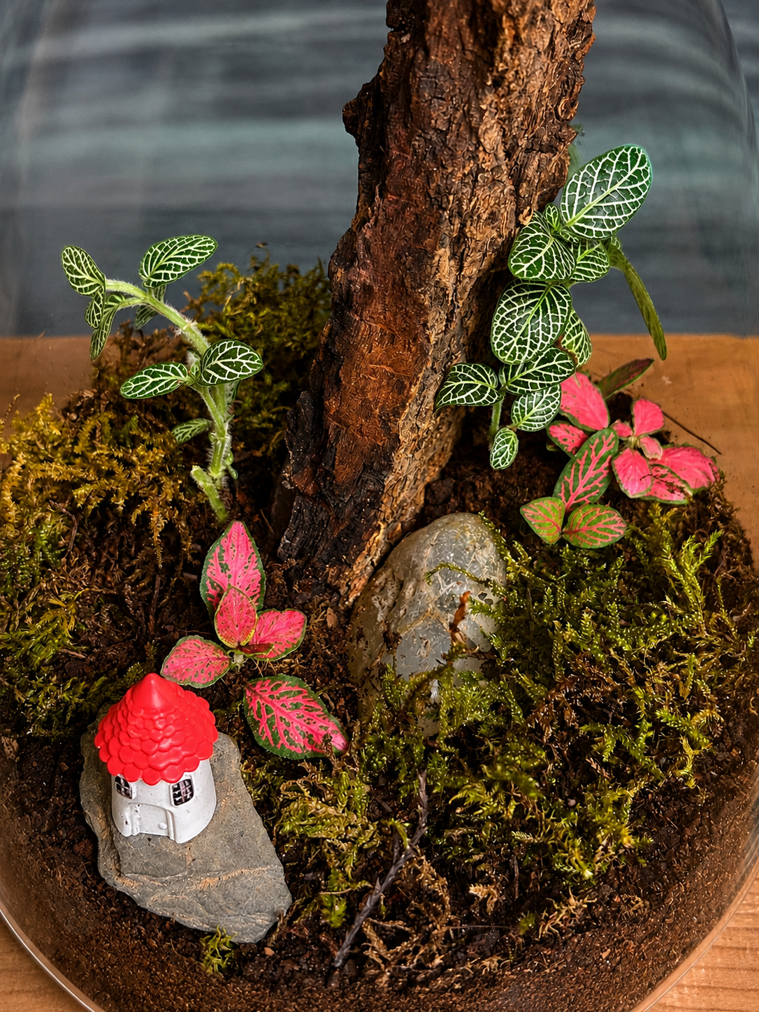 Forest Cottage Terrarium with structure miniature (cottage/building) in decanter glass from Planterie, a charming miniature world perfect for centre table plant arrangement in Delhi, minimal plant arrangements for modern homes and plant styling ideas for small Delhi apartments