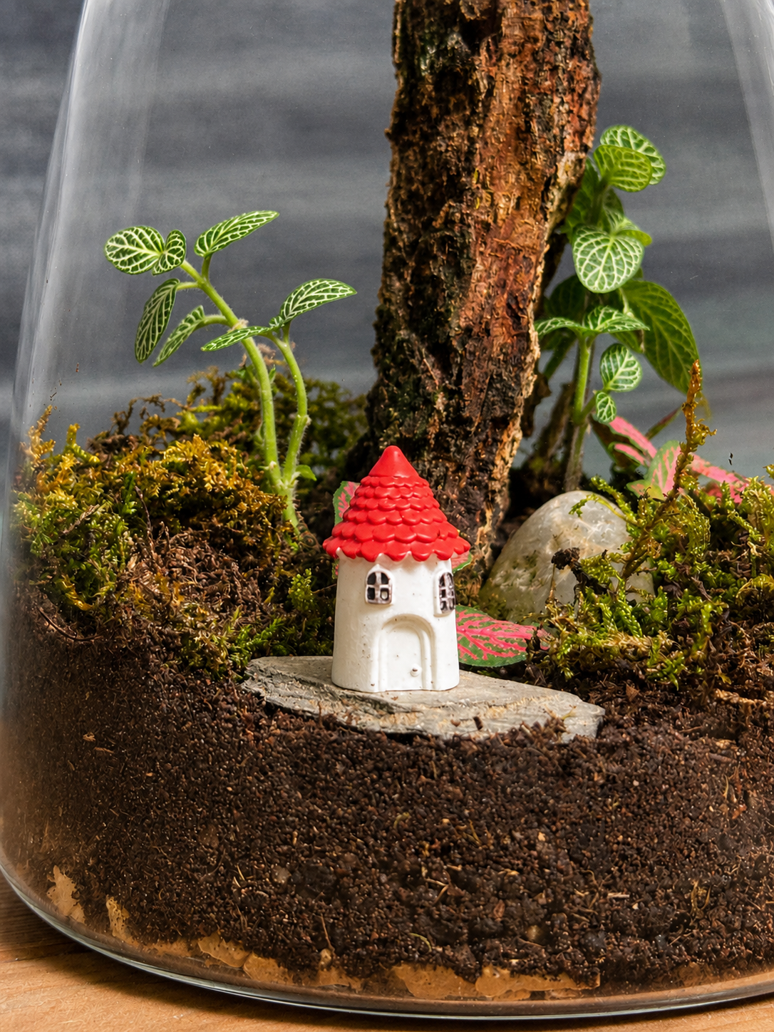Forest Cottage Terrarium for bright spots away from harsh sunlight from Planterie cafe in south Delhi, a low maintenance indoor plant needing minimal water, perfect for indoor plants for low light in Indian homes, best plants for AC rooms in India and indoor plants online India with plant care tips India and how to care for terrarium in Indian weather
