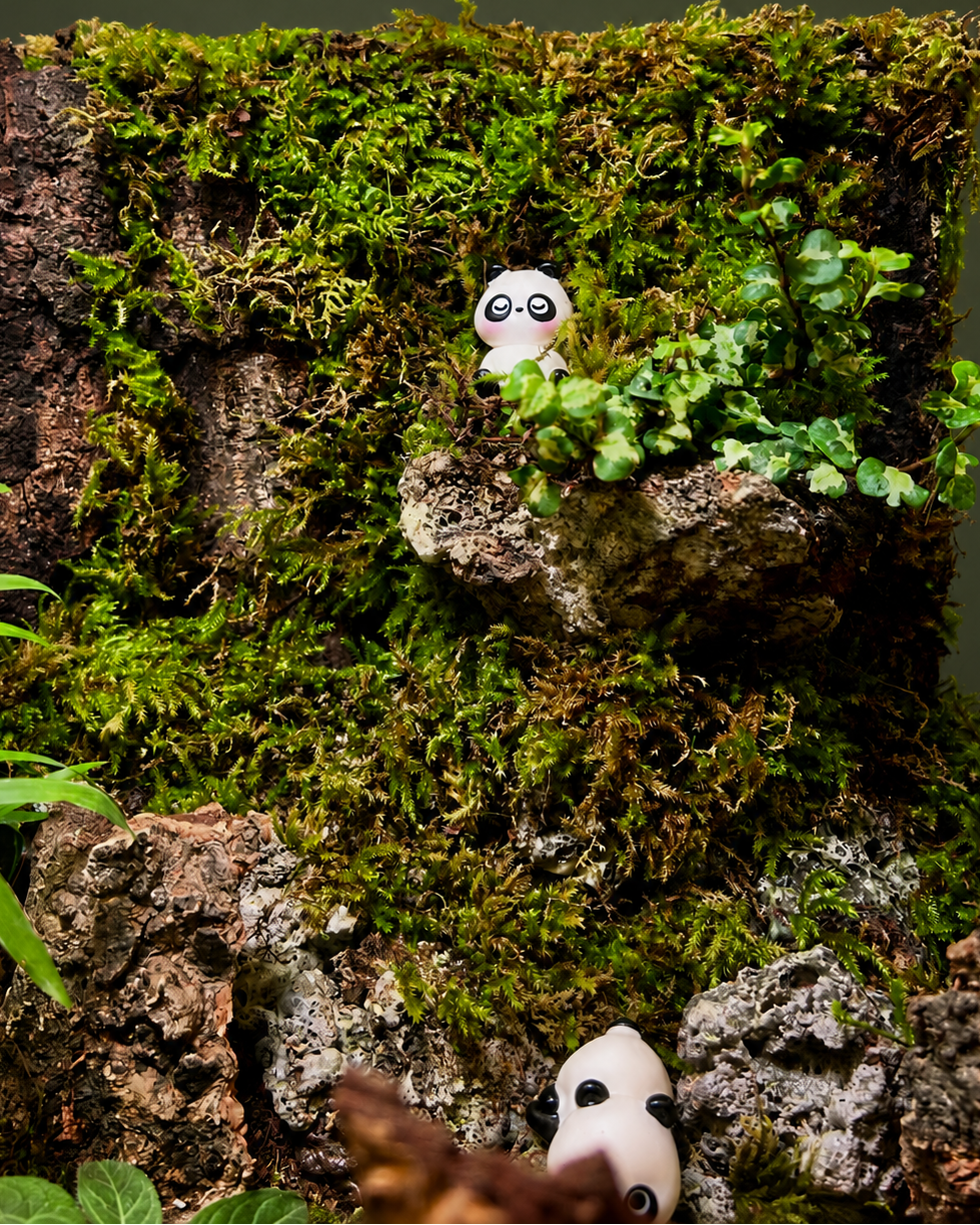 Panda Sanctuary woodland terrarium with layered greenery, mossy textures and panda miniatures from Planterie cafe in south Delhi, a striking table top plant arrangement and centre table plant arrangement in Delhi for minimal plant arrangements for modern homes