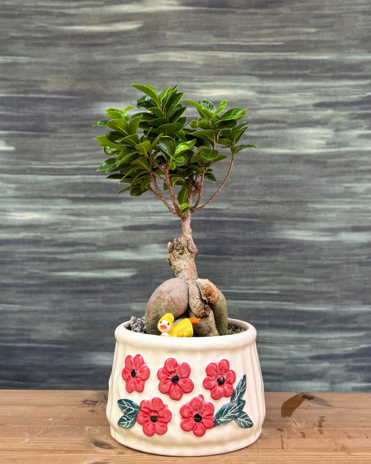 Ginseng Old Soul Ficus bonsai in handcrafted floral basin ceramic, timeless bonsai plant arrangement for centre table in modern Delhi homes