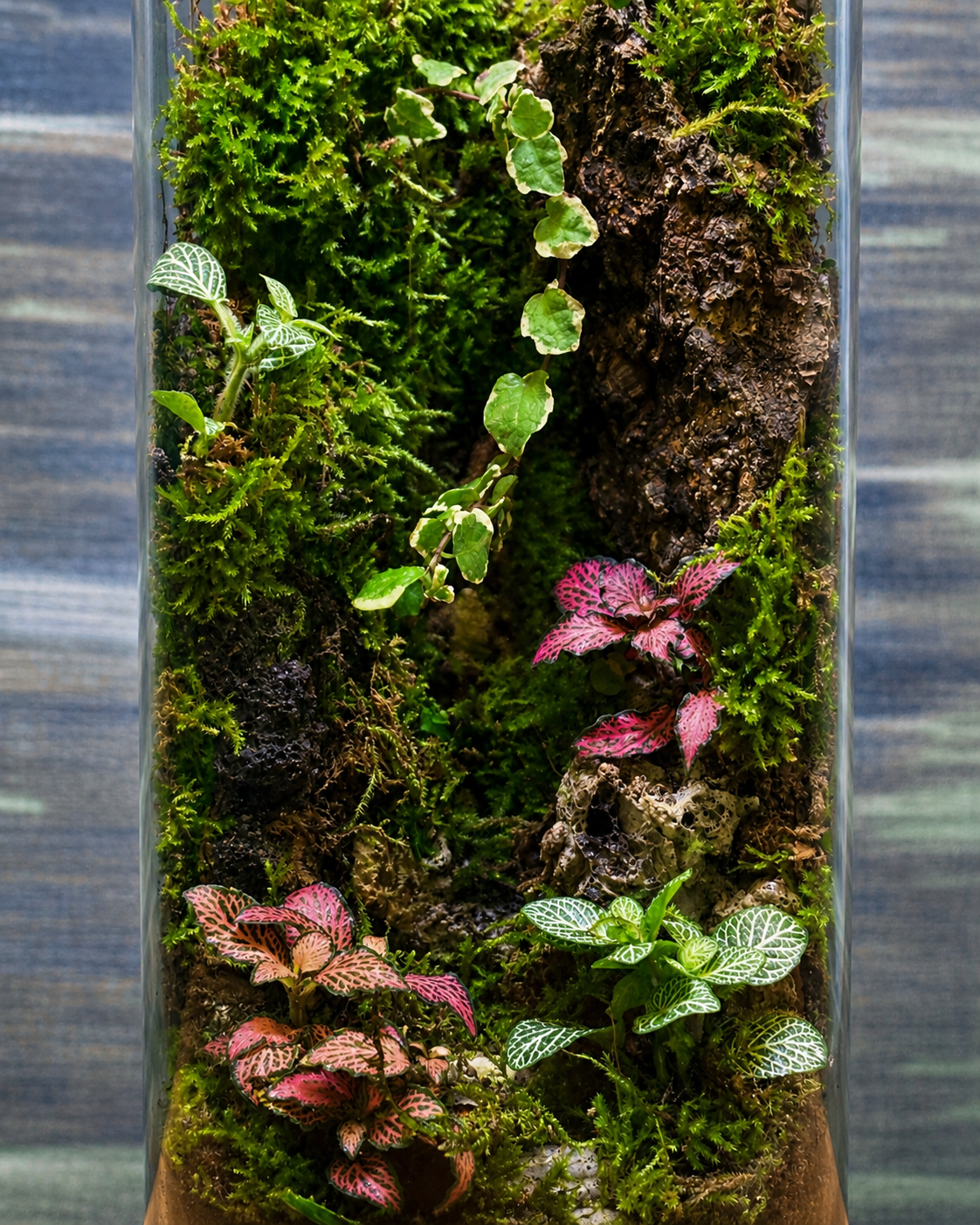 Large terrarium with red and green fittonia plus lush moss from Planterie plant studio in Delhi, a self-contained natural ecosystem ideal as terrarium in Delhi for glass terrarium for gifting, tabletop plants for gifting and indoor plants for gifting