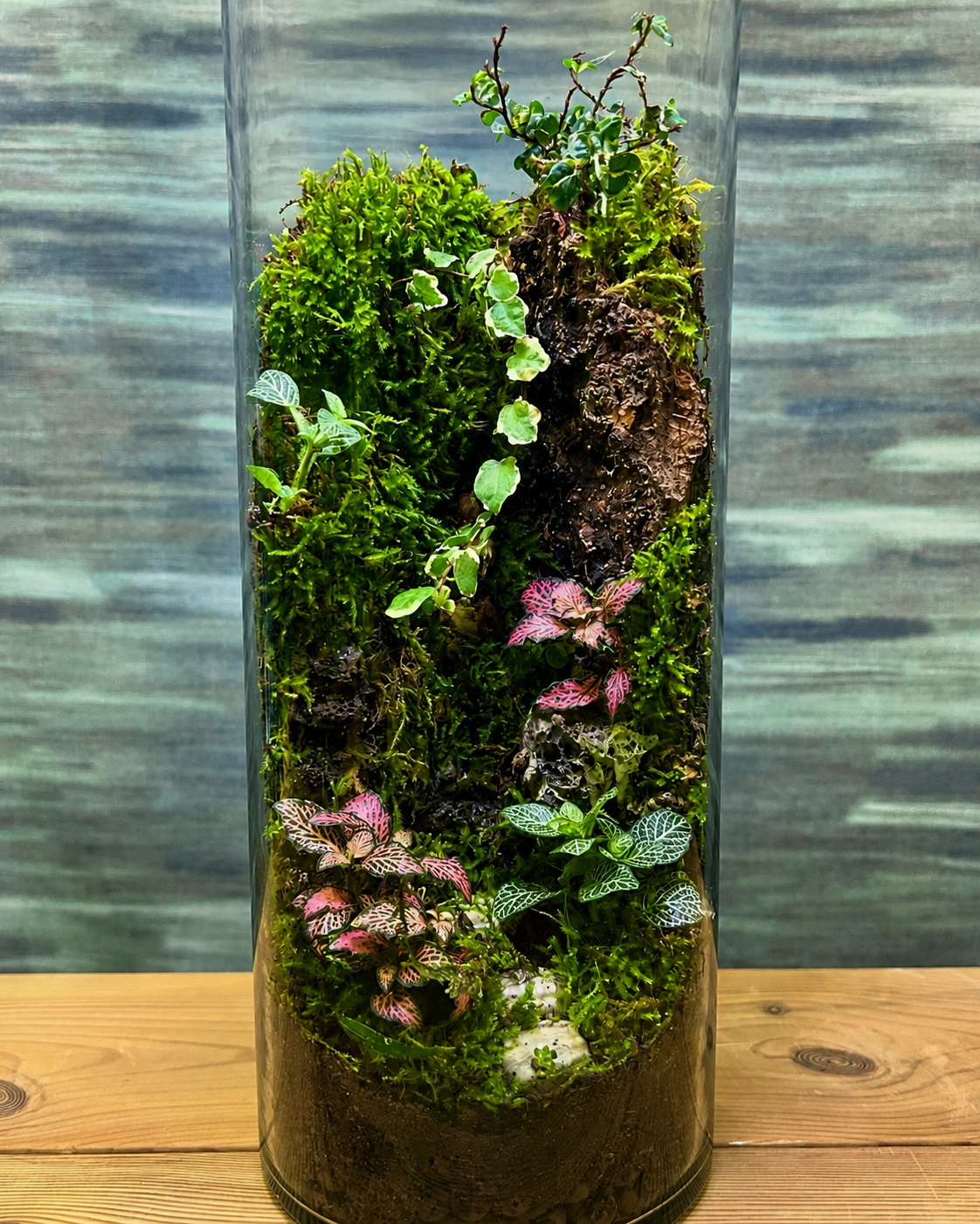 Green Canyon long terrarium with vibrant red green fittonia from Planterie cafe in south Delhi, a stunning centre table plant arrangement and one of the best indoor plants for homes in Delhi for plant styling ideas for small Delhi apartments and minimal plant arrangements for modern homes