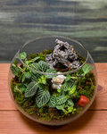 Little Shepherd Garden terrarium from Planterie, a glass terrarium with vibrant pink green fittonia plants and a charming sheep miniature grazing in greenery, perfect terrarium in Delhi for bedside table and plant gifts in Delhi for housewarmings