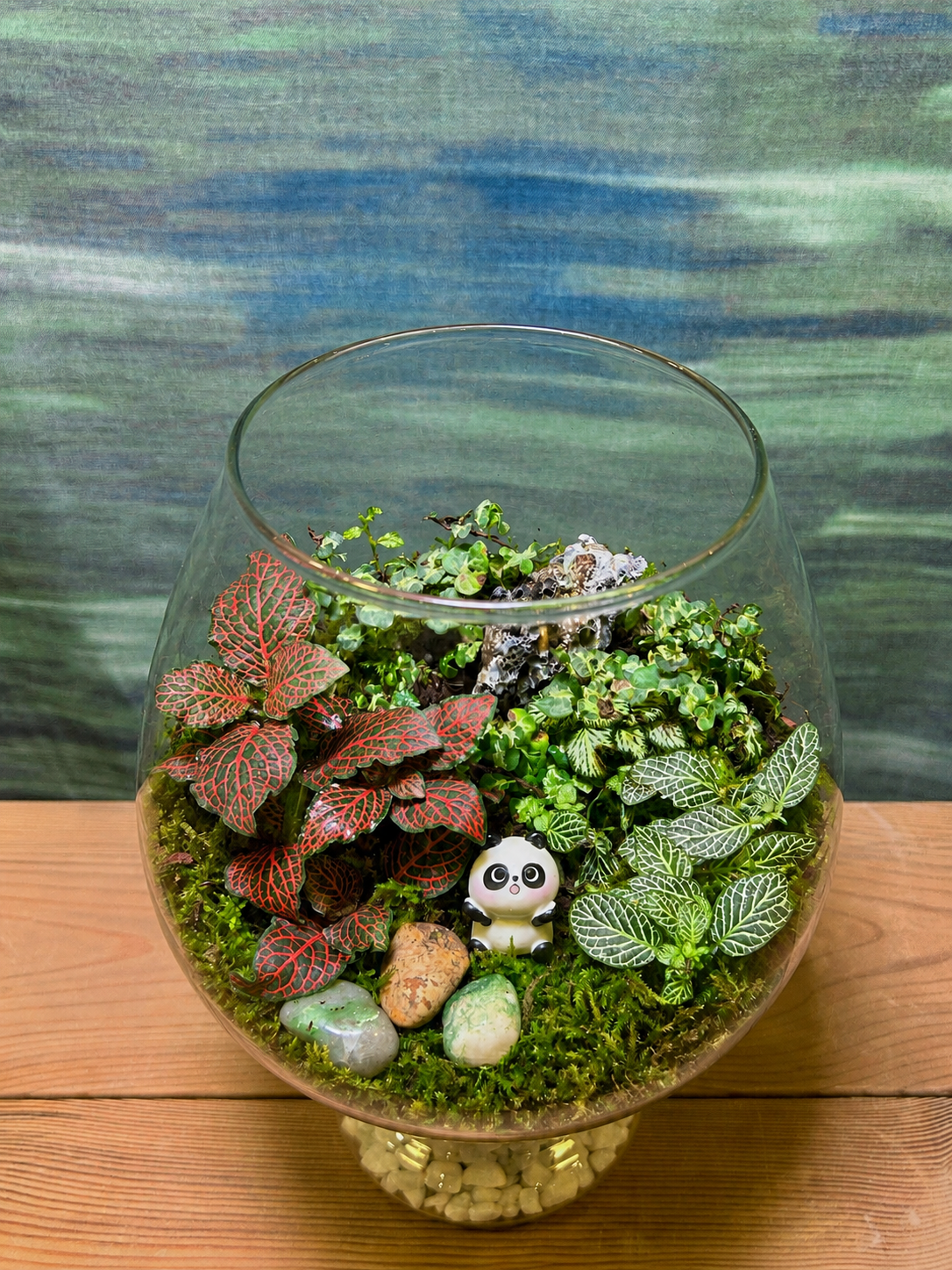 Lush panda moss desktop terrarium from Planterie plant studio in Delhi, layered with premium terrarium soil to create a self‑contained ecosystem, ideal as terrarium in Delhi for tabletop plants for gifting, glass terrarium for gifting and indoor plants for gifting
