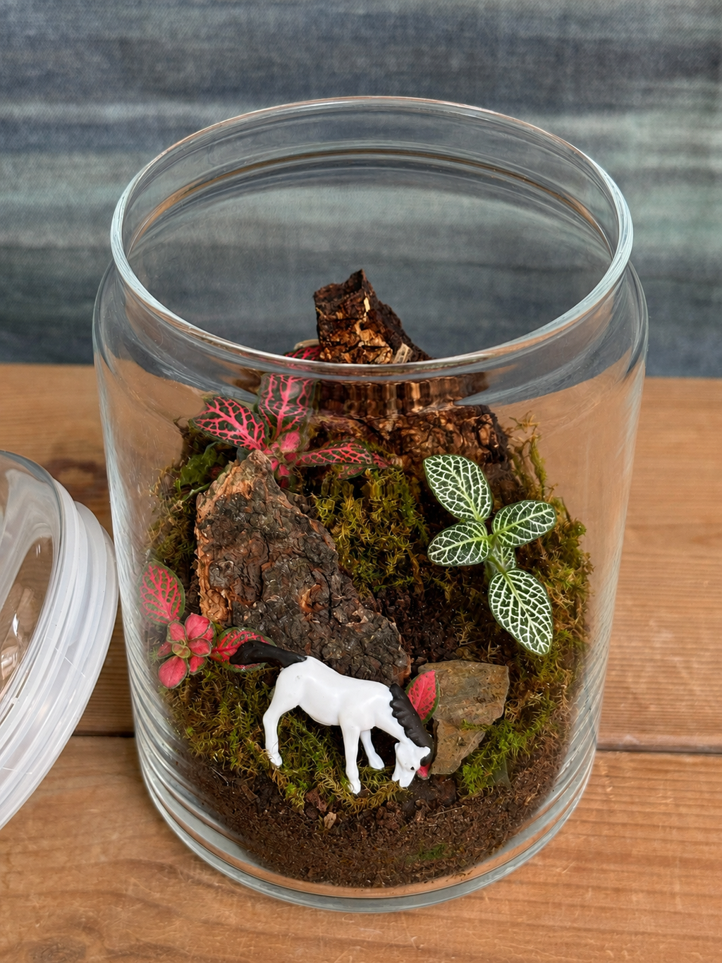 Glass Meadow Horse Cookie Jar terrarium from Planterie, available as indoor plants online India and terrarium gifts India, perfect for plant gifting in Delhi, custom terrarium gifts in Delhi, premium plant gifts in India and bulk terrarium gifts for events in Delhi