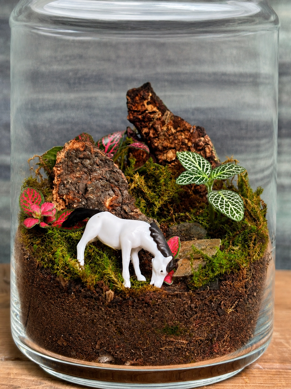 Handcrafted Meadow Horse Cookie Jar terrarium from Planterie plant studio in Delhi, a unique glass micro-garden with a cute horse miniature and live plants ideal as glass terrarium for gifting, tabletop plants for gifting, indoor plants for gifting and indoor plant gifts for housewarming in Delhi