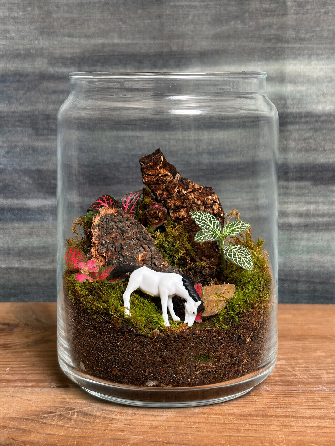 Meadow Horse Terrarium for bright spots away from harsh sunlight from Planterie cafe in south Delhi, a low maintenance indoor plant needing minimal water, perfect for indoor plants for low light in Indian homes, best plants for AC rooms in India and indoor plants online India with plant care tips India and how to care for terrarium in Indian weather