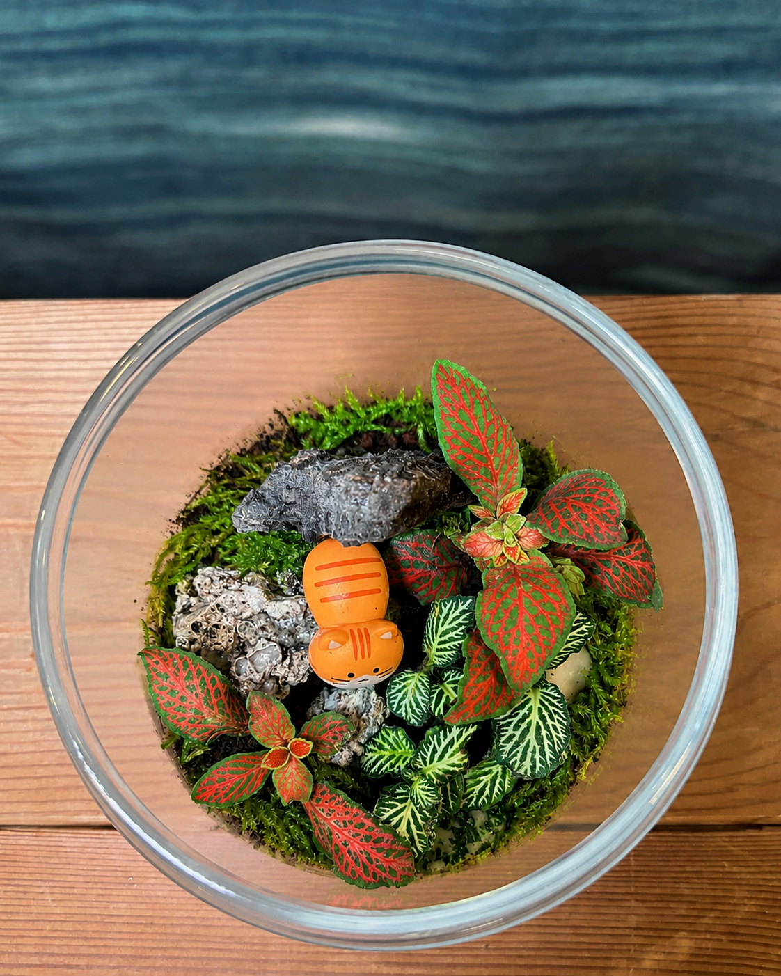 Closed glass terrarium with fittonia plants and orange cat miniature from Planterie, low maintenance indoor plant for beginners and best plants for AC rooms in India, with simple plant care tips India and how to care for terrarium in Indian weather