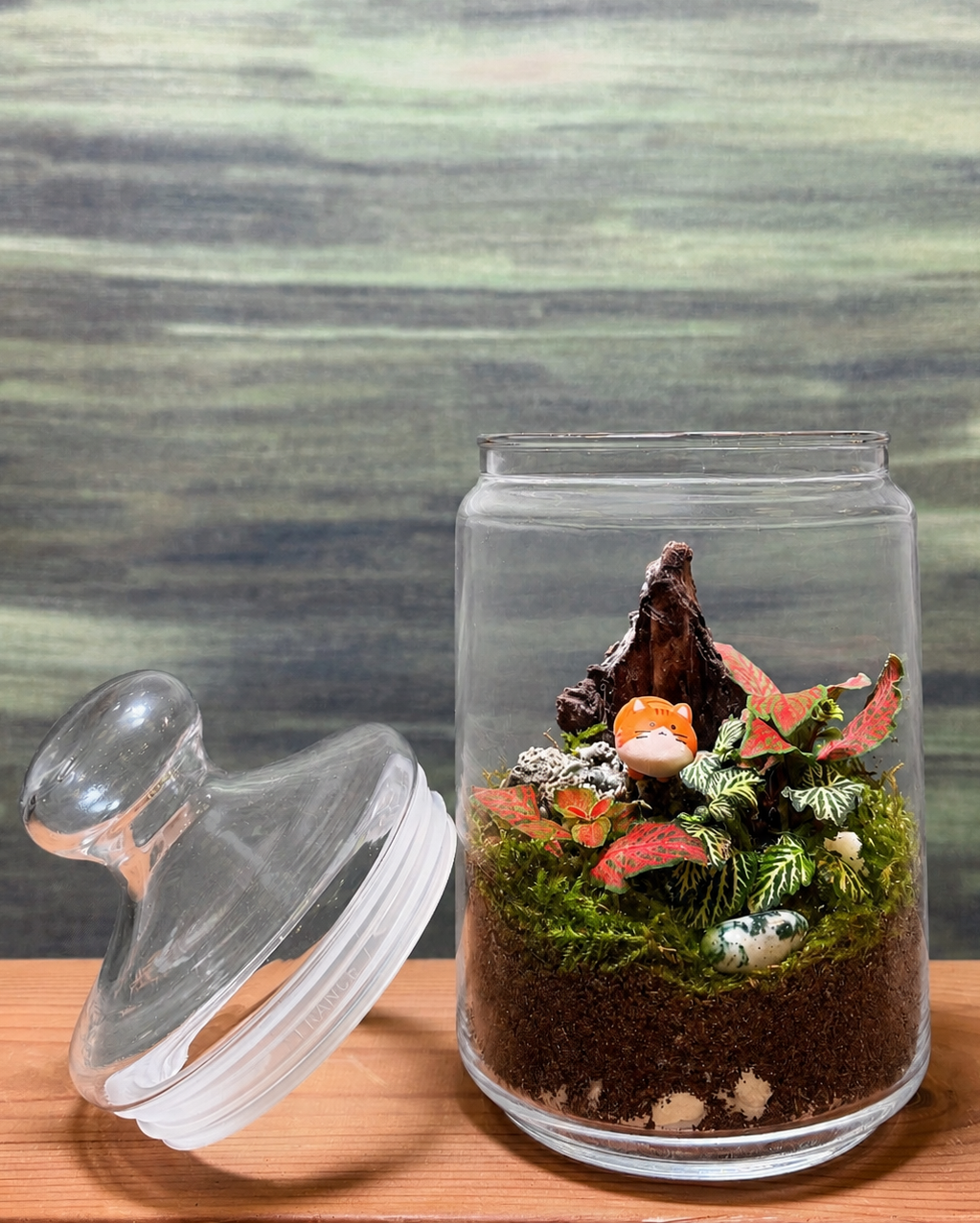 Glass terrarium featuring bright fittonia foliage and cute orange cat miniature from Planterie plant studio in Delhi, ideal for bedside tables and work desks as small terrarium for bedside table, open terrarium for office desk in Delhi and indoor plants for gifting