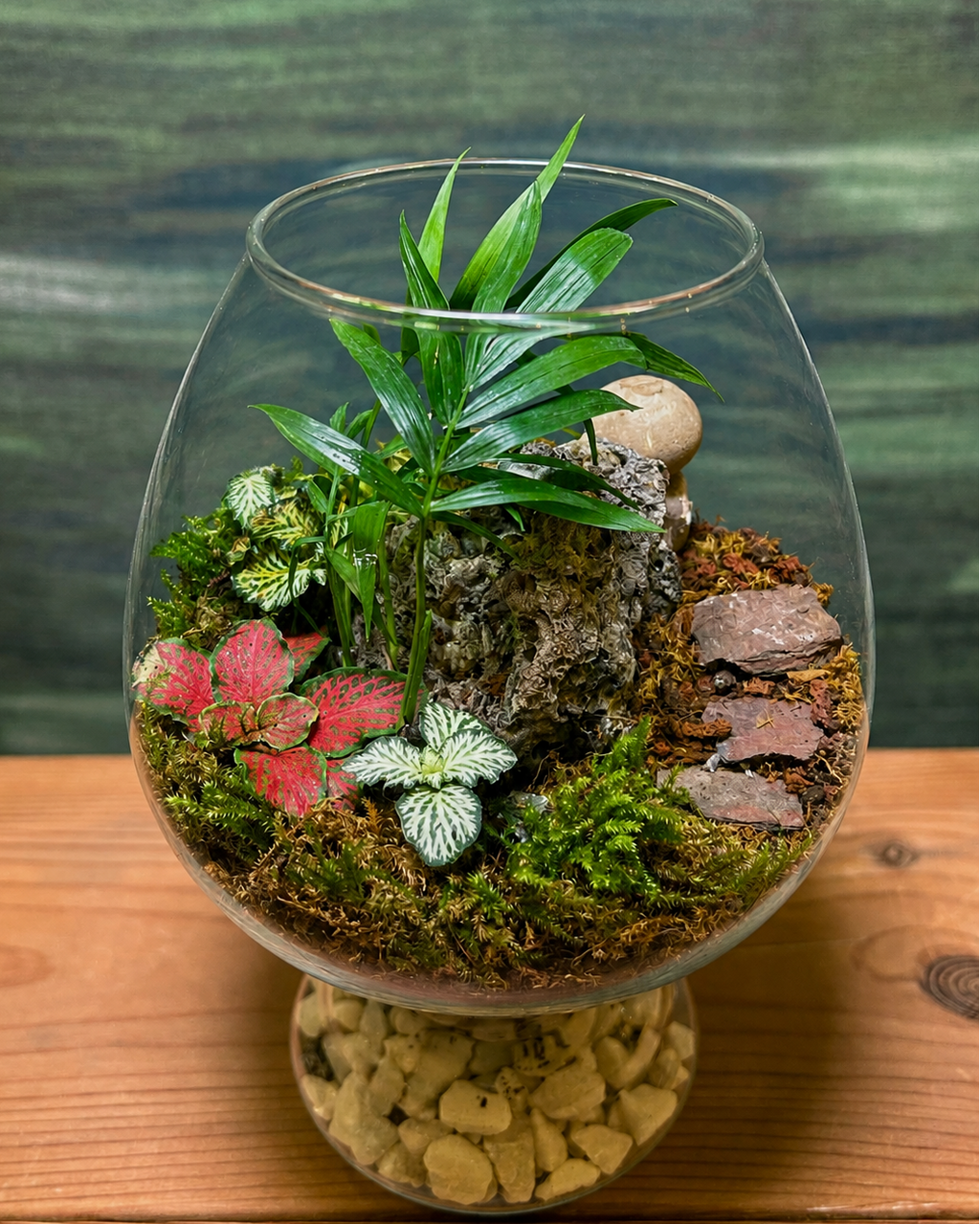 Palm Garden desktop terrarium with dwarf palm and red green white fittonia from Planterie cafe in south Delhi, a low maintenance indoor plant for beginners and best plants for AC rooms in India, ideal for indoor plants for low light in Indian homes and indoor plants online India