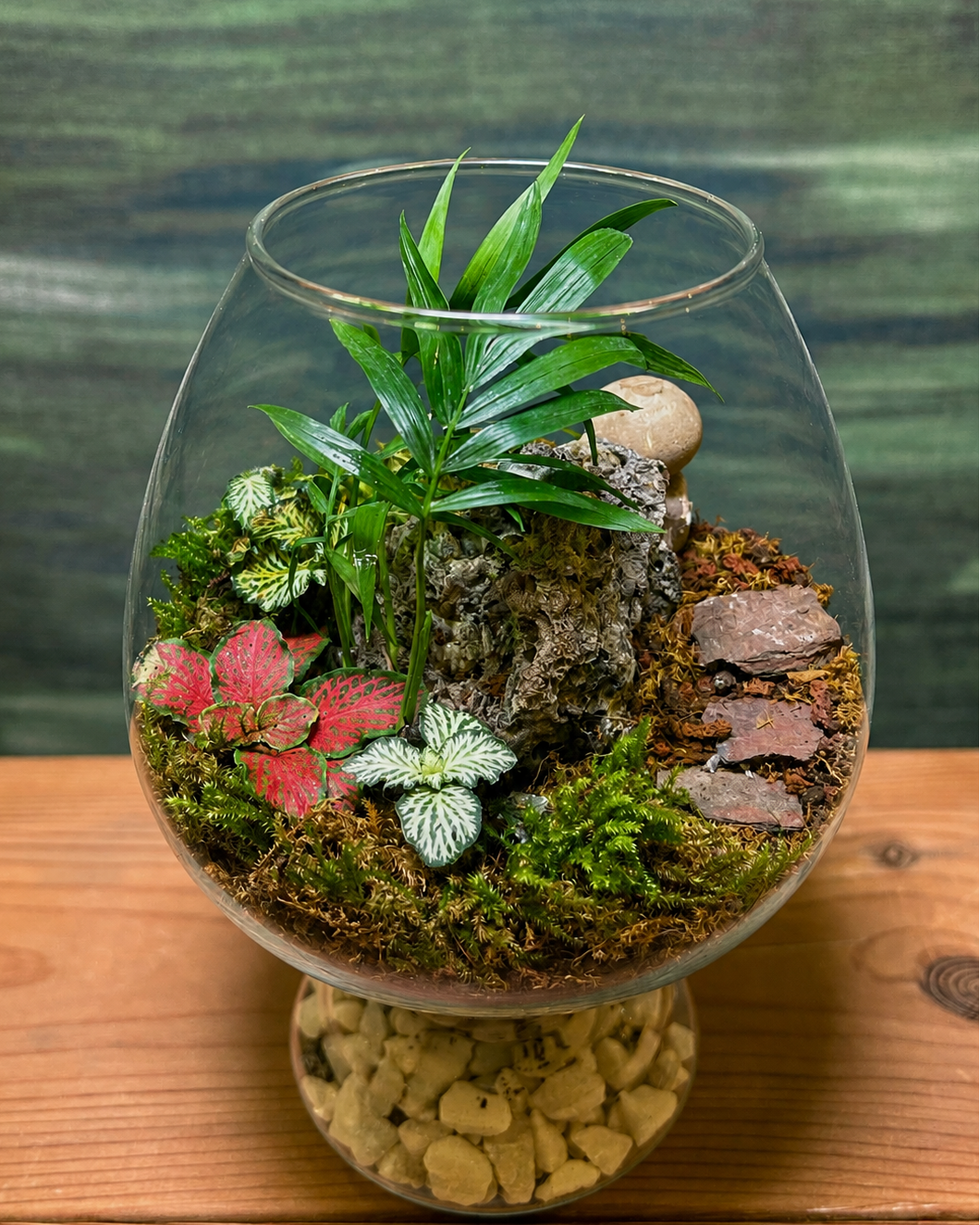 Palm Garden desktop terrarium with dwarf palm and red green white fittonia from Planterie cafe in south Delhi, a low maintenance indoor plant for beginners and best plants for AC rooms in India, ideal for indoor plants for low light in Indian homes and indoor plants online India