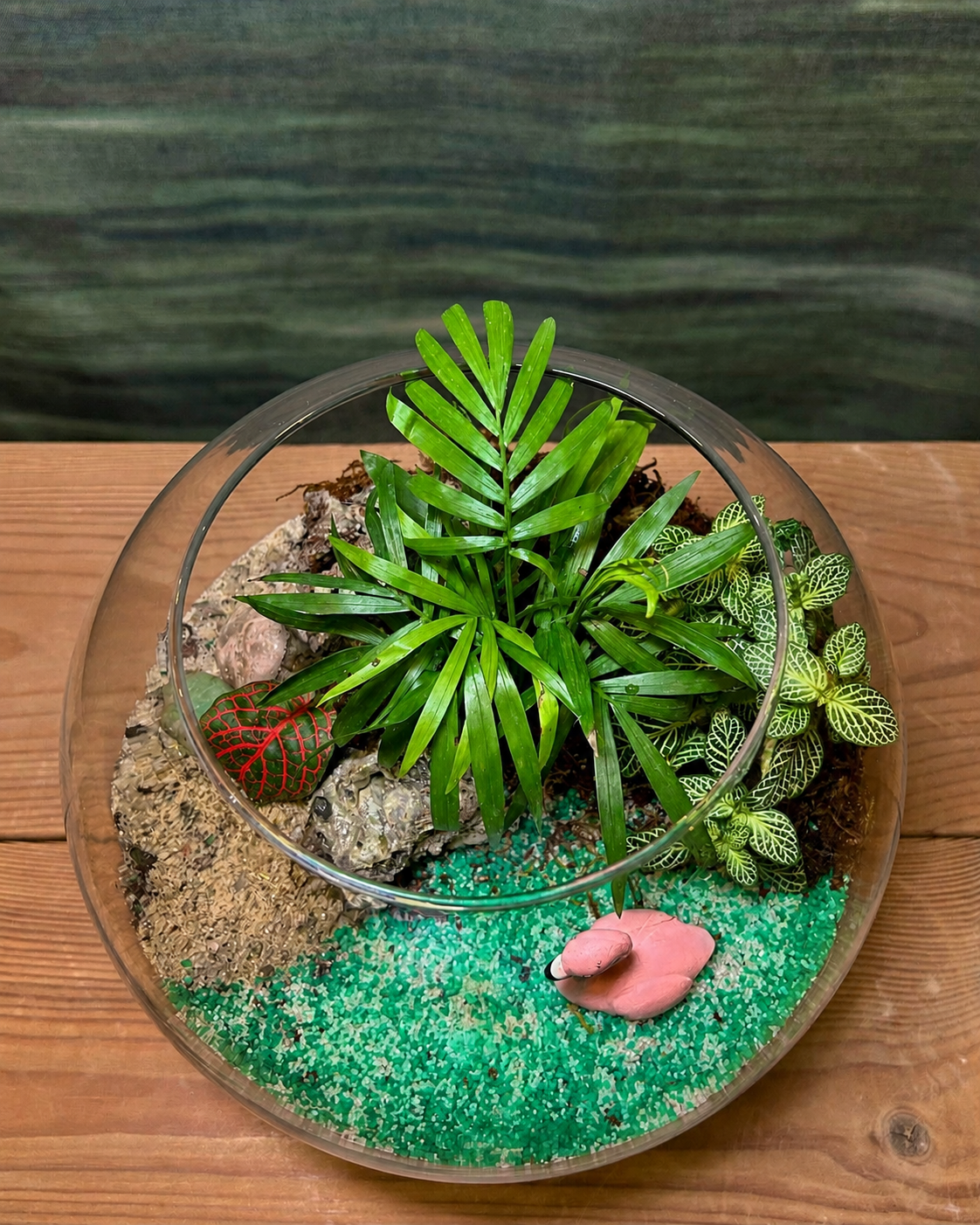 Palm Oasis Terrarium with dwarf palm and vibrant fittonia from Planterie cafe in south Delhi, a beautiful table top plant arrangement and terrarium in Delhi for minimal plant arrangements for modern homes and plant styling ideas for small Delhi apartments