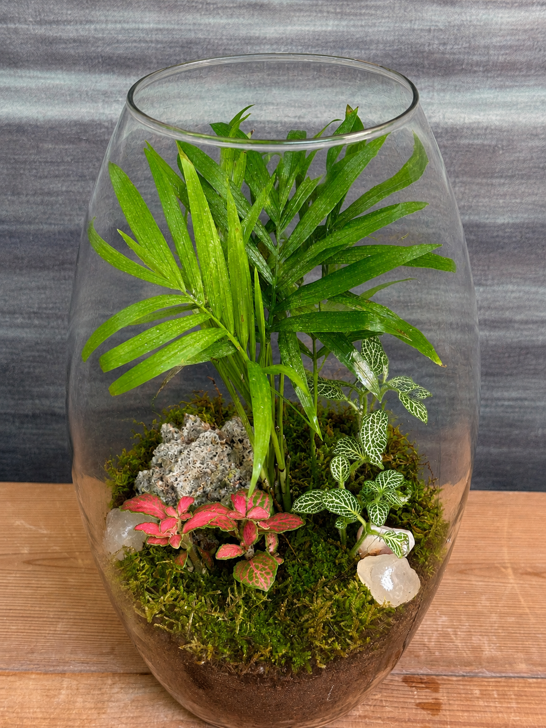 Glass Palm Whisper Drum terrarium from Planterie, available as indoor plants online India and terrarium gifts India, perfect for plant gifting in Delhi, custom terrarium gifts in Delhi, premium plant gifts in India and bulk terrarium gifts for events in Delhi