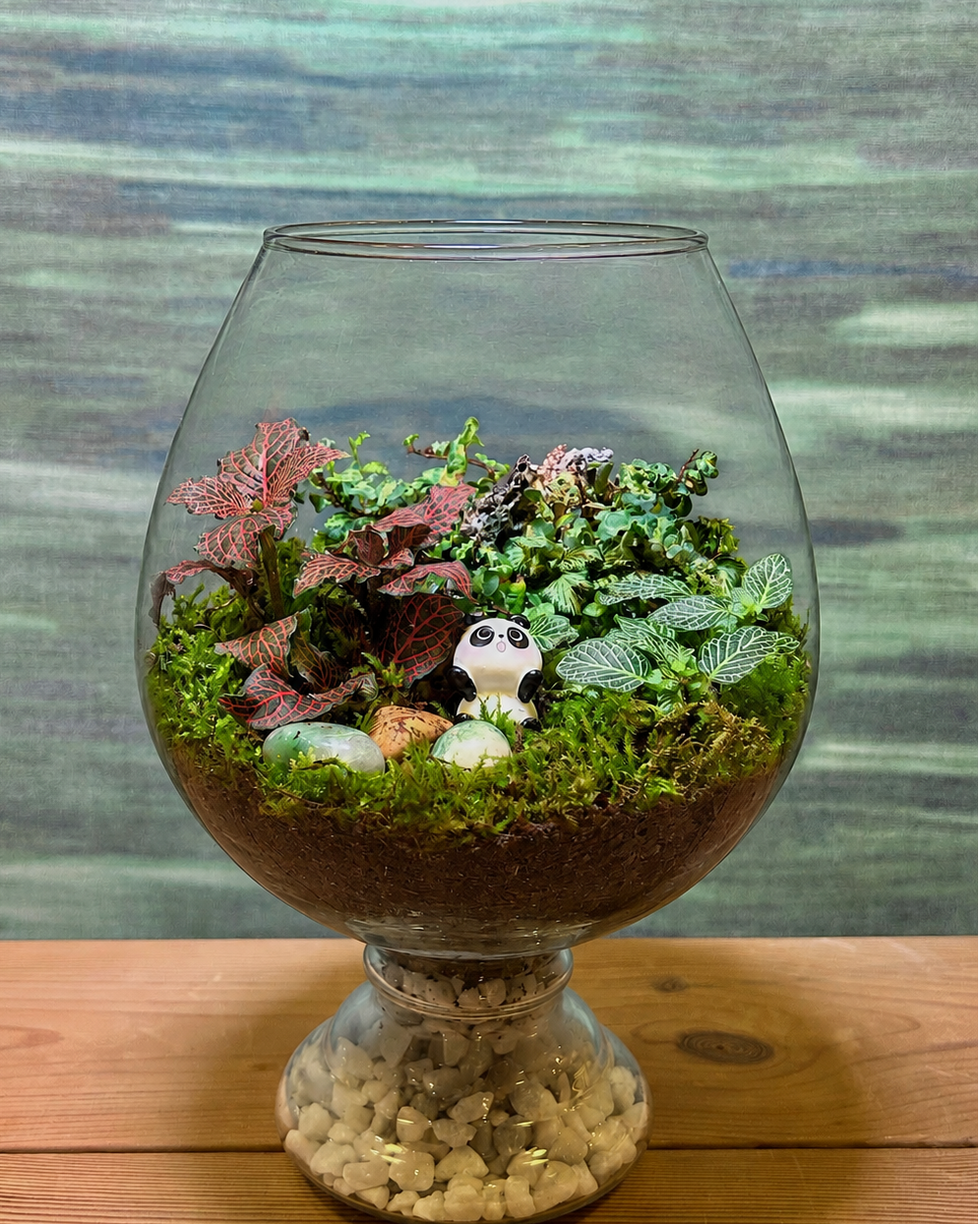 Self-contained Panda Moss terrarium from Planterie, a low maintenance indoor plant for beginners and best plants for AC rooms in India, ideal for indoor plants for low light in Indian homes, indoor plants online India with easy how to care for terrarium in Indian weather and plant care tips India