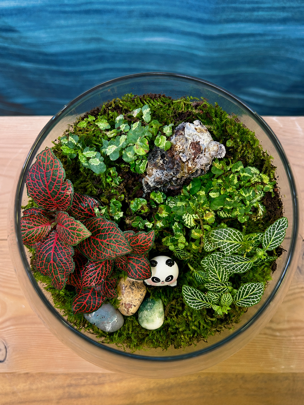 Panda Moss desktop terrarium from Planterie cafe in south Delhi, a serene miniature landscape perfect for centre table plant arrangements and minimal plant arrangements for modern homes, and one of the best indoor plants for homes in Delhi for plant styling ideas for small Delhi apartments