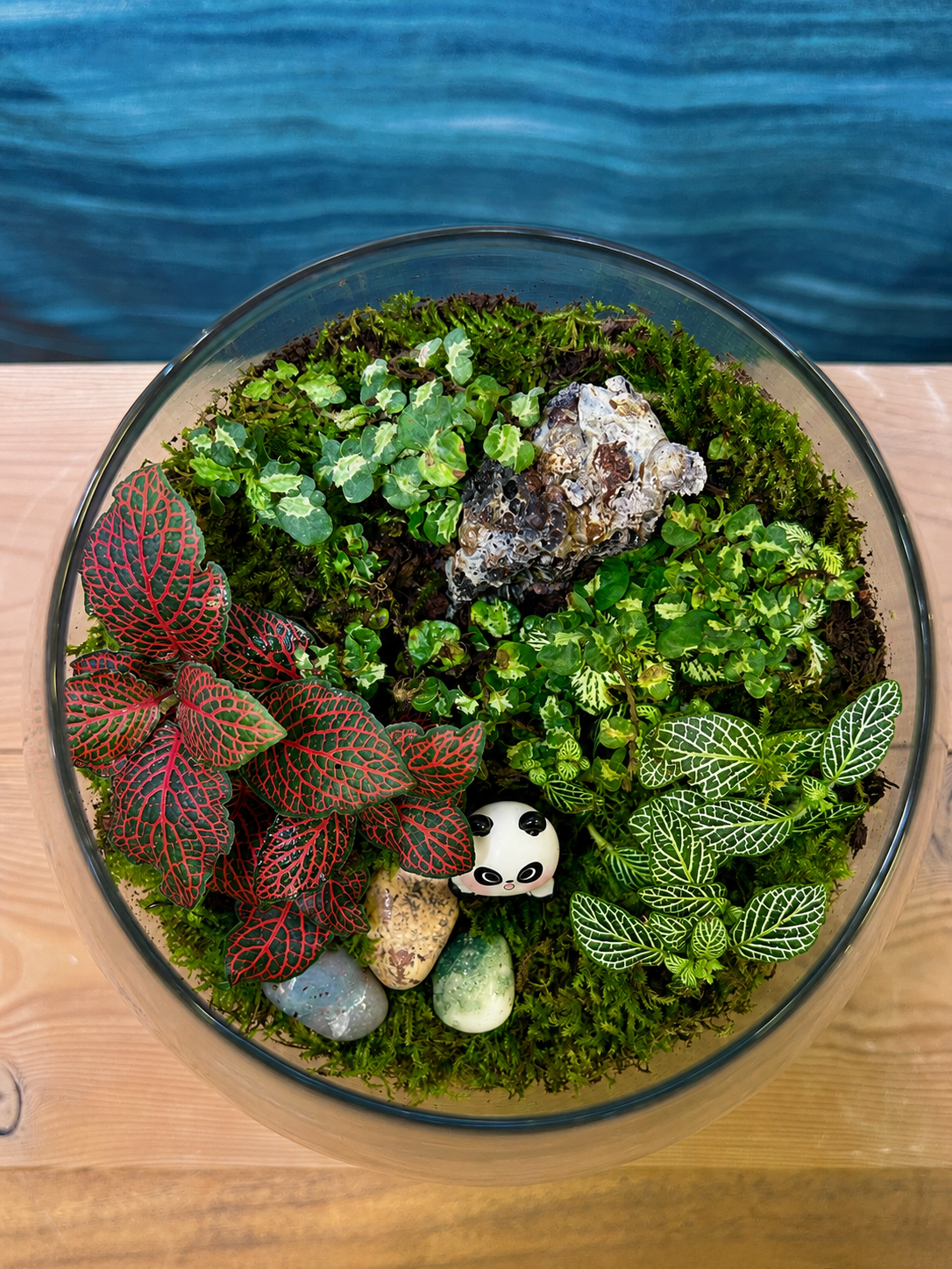 Panda Moss desktop terrarium from Planterie cafe in south Delhi, a serene miniature landscape perfect for centre table plant arrangements and minimal plant arrangements for modern homes, and one of the best indoor plants for homes in Delhi for plant styling ideas for small Delhi apartments