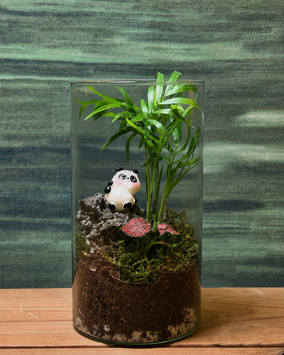 Panda Palm terrarium from Planterie, a lush closed glass terrarium with a dwarf palm paired with vibrant fittonia and soft panda moss, creating a tropical miniature garden in a premium cylinder glass, perfect as terrarium in Delhi for desk, bedside table and plant gifts in Delhi for housewarmings