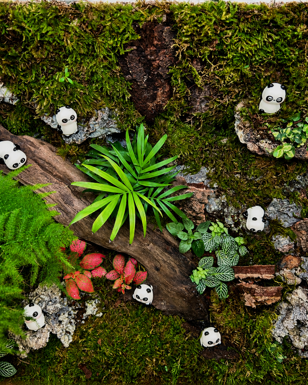 Panda Sanctuary terrarium from Planterie, a low maintenance indoor plant for beginners in a sealed glass world, ideal for indoor plants for low light in Indian homes and best plants for AC rooms in India with easy plant care tips India and how to care for terrarium in Indian weather