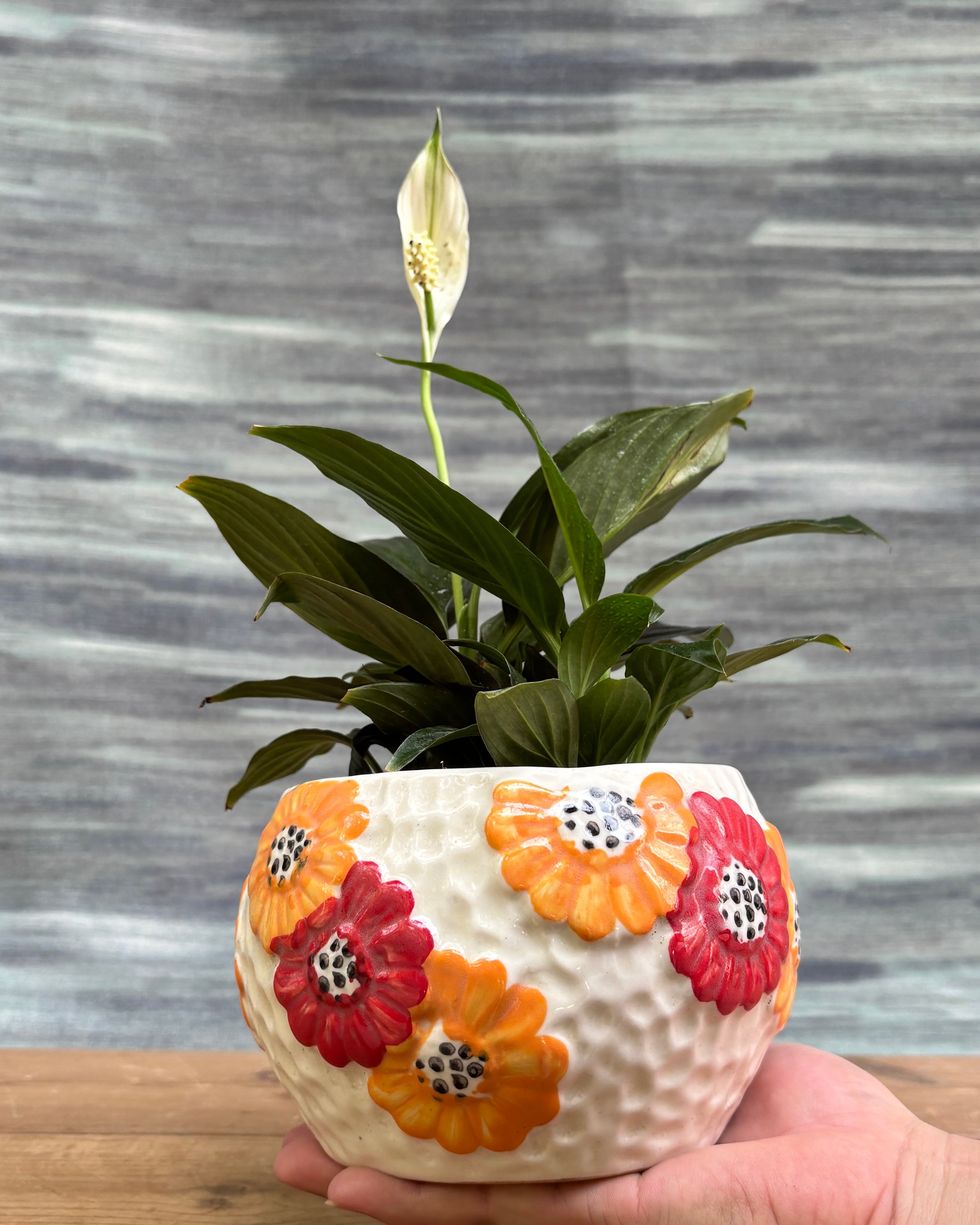 Elegant Peace Lily in a printed floral ceramic bowl from Planterie, ideal as a tabletop plant for living rooms, work desks and bedside tables, adding a soft, calming touch to modern Indian homes