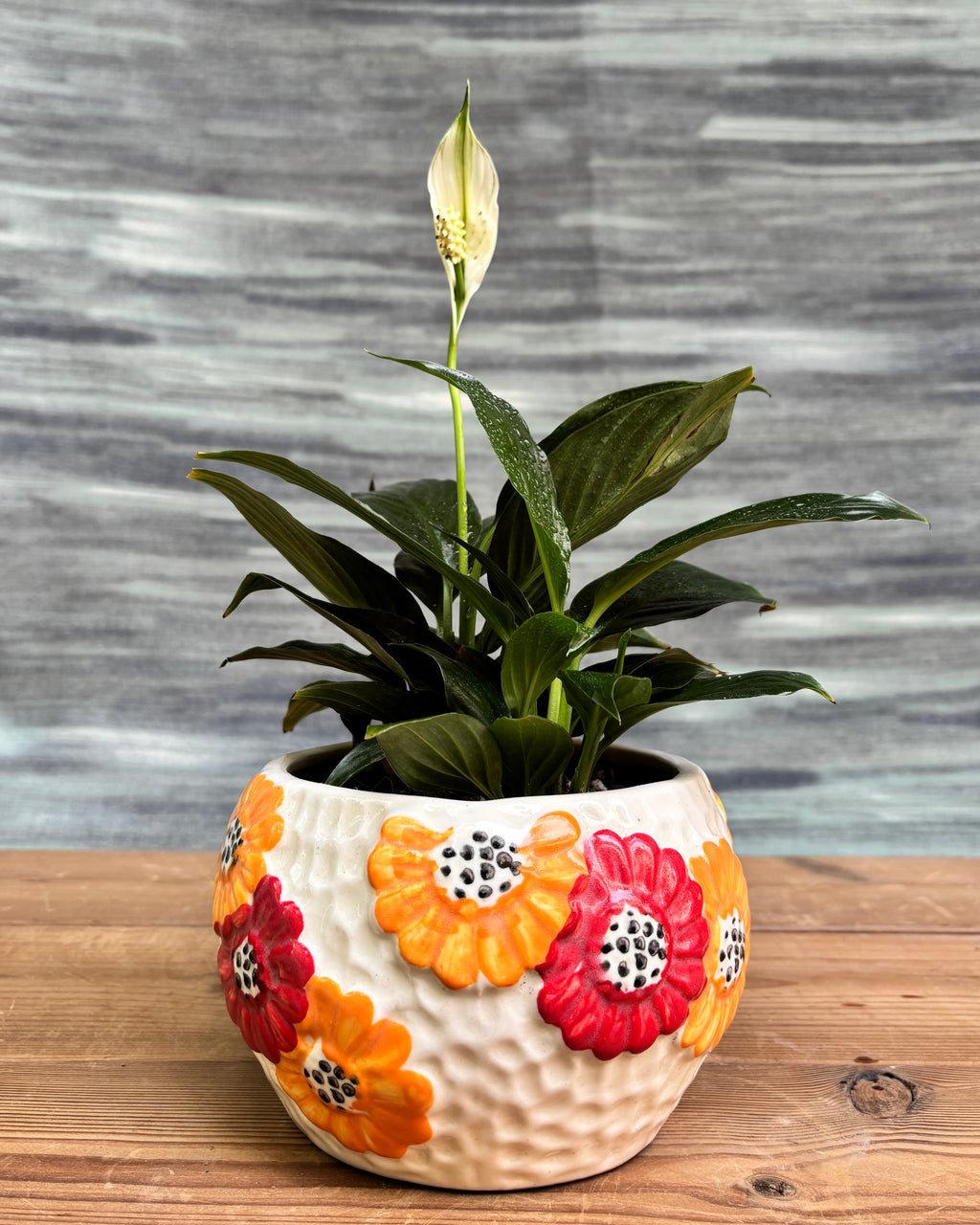 Peace Lily in Floral Bowl from Planterie, a graceful peace lily with glossy green leaves and occasional white flowers potted in a floral ceramic bowl, perfect as an indoor flowering plant for homes in Delhi and plant gifts in Delhi