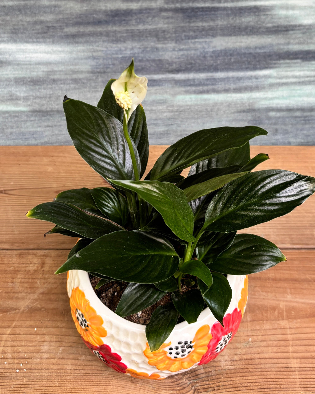 Peace Lily in Floral Bowl styled on a console or office table, a minimal, ready-to-place indoor plant and pot combo that suits living room décor, office décor and balcony styling in Indian homes.