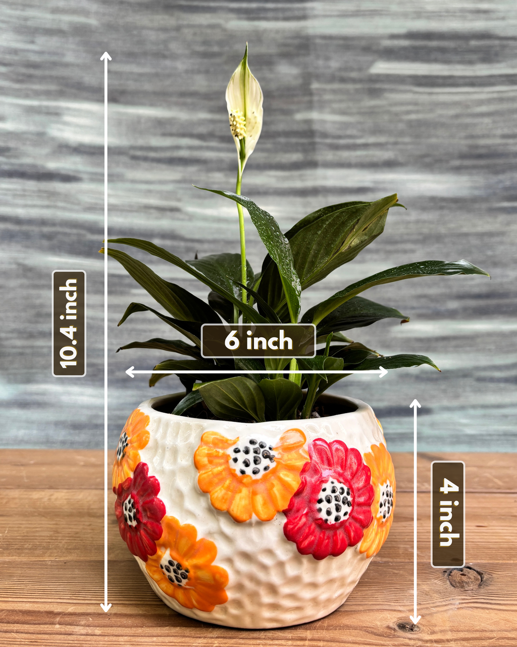 Peace Lily in Floral Bowl from Planterie, a thoughtful indoor plant gift for housewarming, birthdays and corporate gifting in Delhi, available as indoor plants online India with care tips for beginners