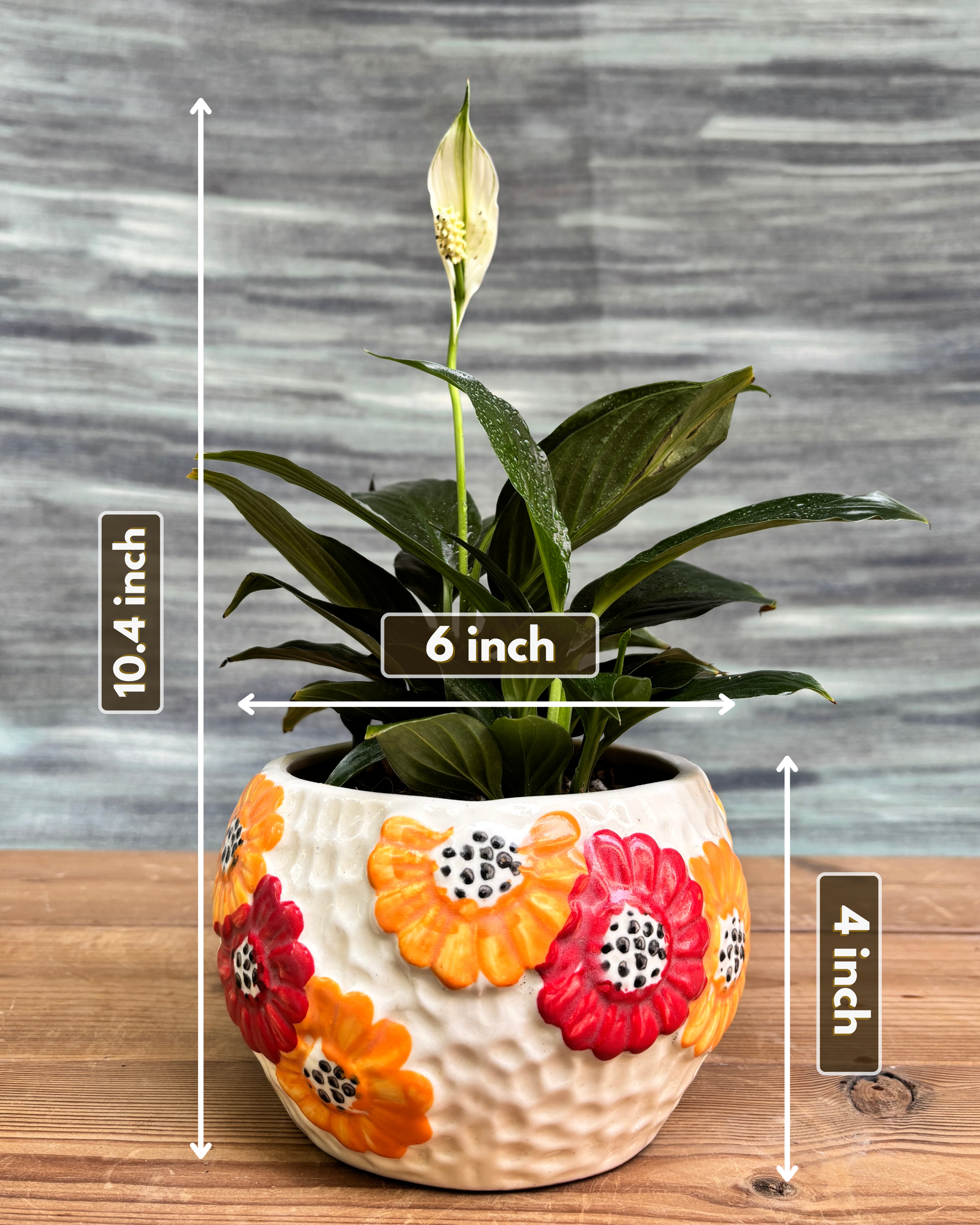 Peace Lily in Floral Bowl from Planterie, a thoughtful indoor plant gift for housewarming, birthdays and corporate gifting in Delhi, available as indoor plants online India with care tips for beginners
