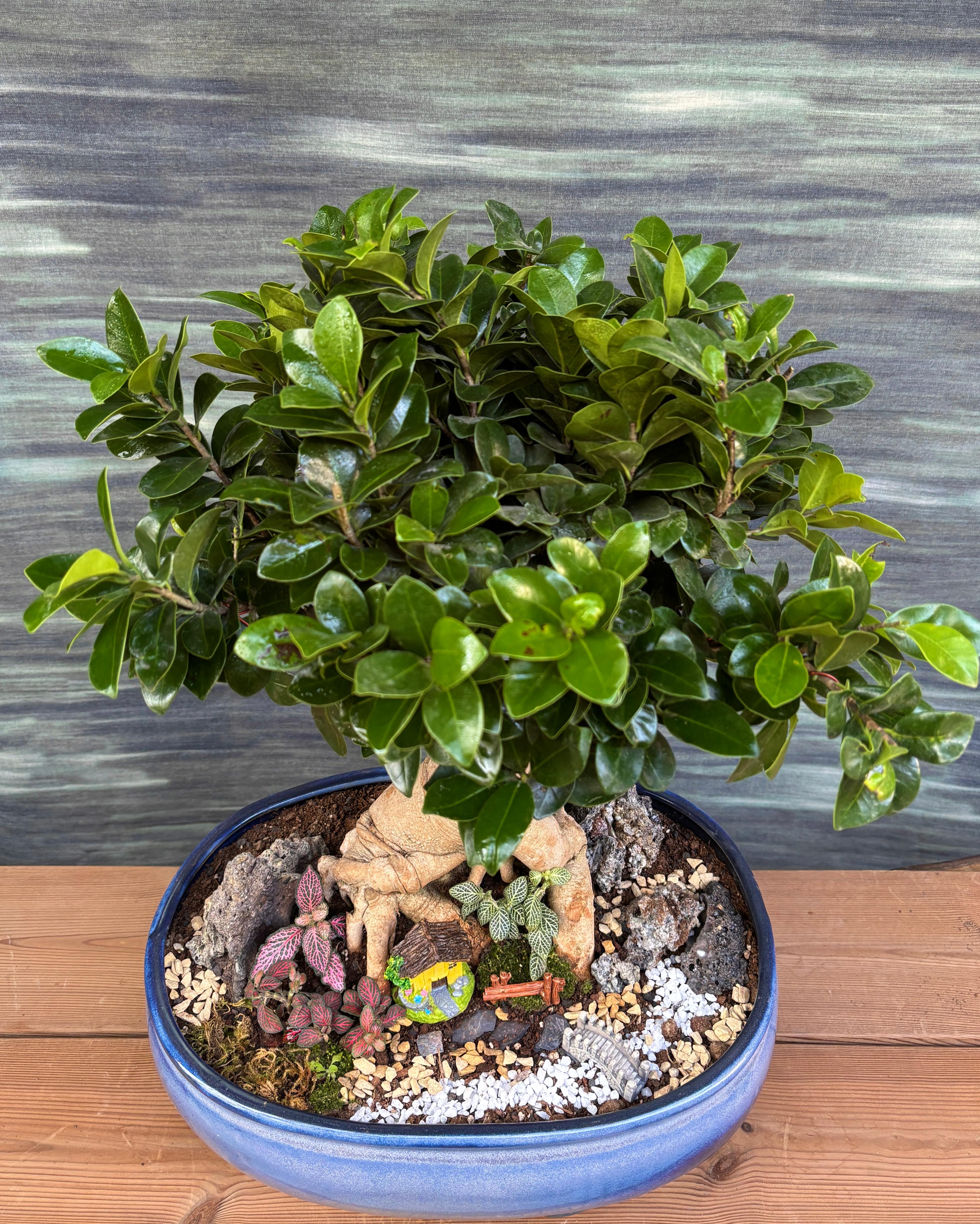 Riverside Bridge House Bonsai tabletop centrepiece on a console or coffee table, mindful bonsai decor for modern Delhi apartments