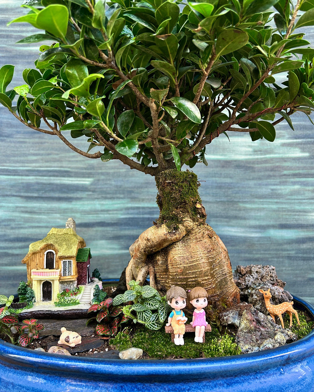 Gift-ready Storybook Cottage Bonsai from Planterie Delhi, premium bonsai gift for housewarming, birthdays and special occasions in India