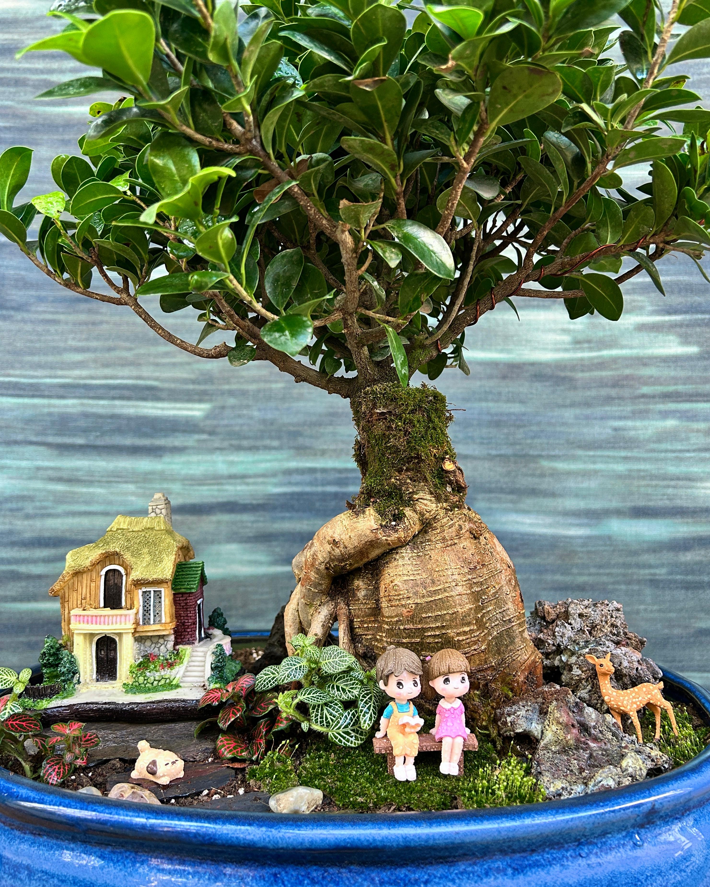 Gift-ready Storybook Cottage Bonsai from Planterie Delhi, premium bonsai gift for housewarming, birthdays and special occasions in India