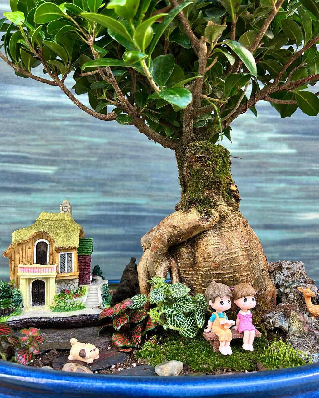 Storybook Cottage Bonsai in a reading or meditation corner, calming bonsai scene for dreamers and nature lovers in Indian apartments
