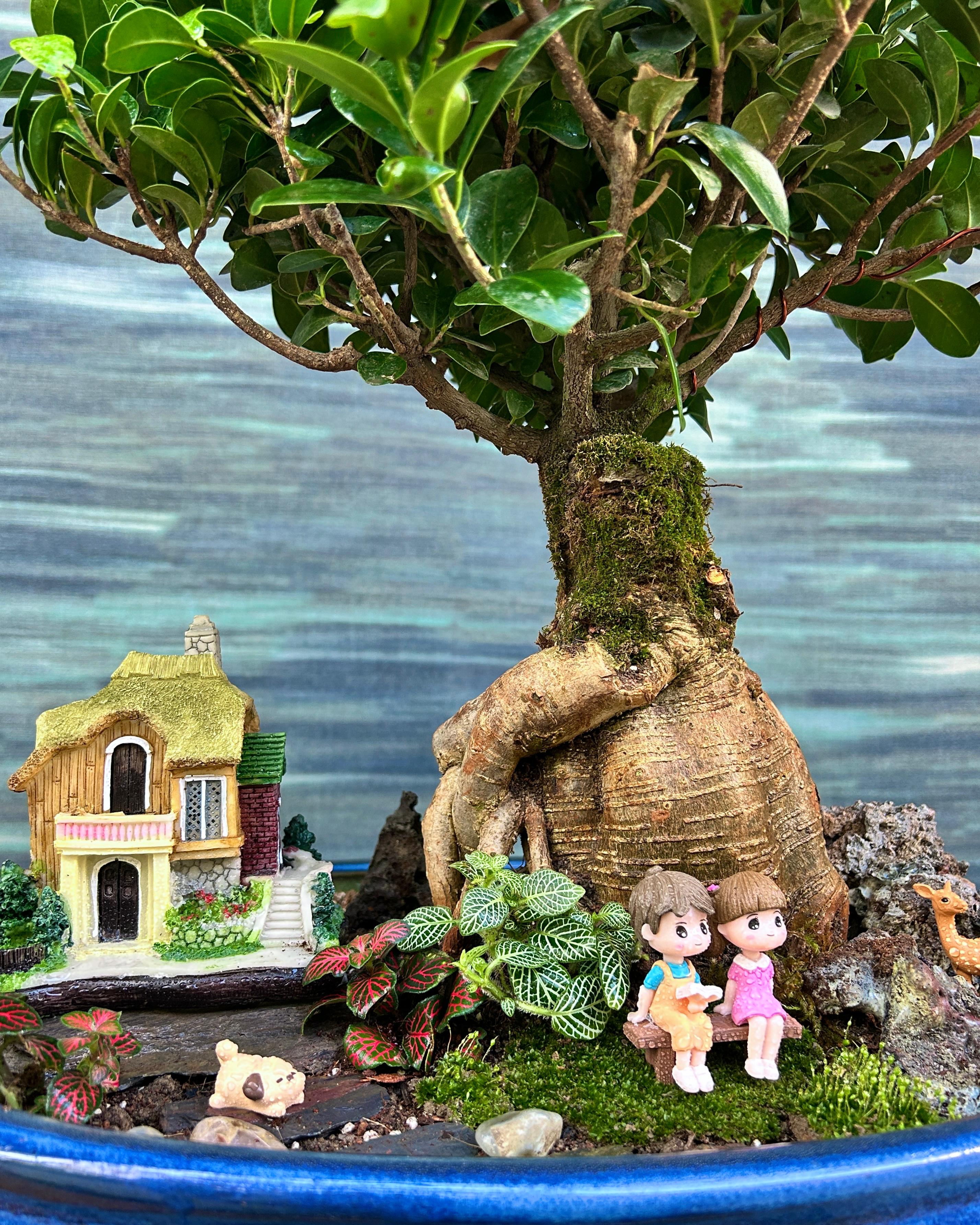 Storybook Cottage Bonsai in a reading or meditation corner, calming bonsai scene for dreamers and nature lovers in Indian apartments