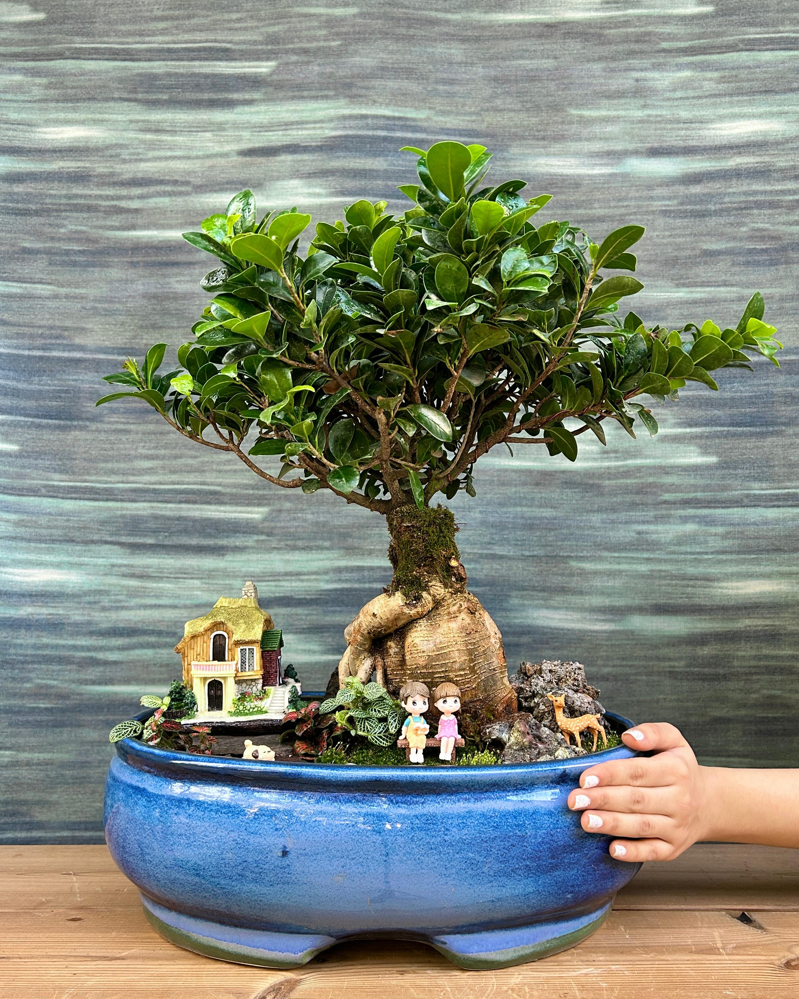 Detail of Storybook Cottage Bonsai showing the tiny storybook-style cottage, stones and greenery that create a fairy tale scene