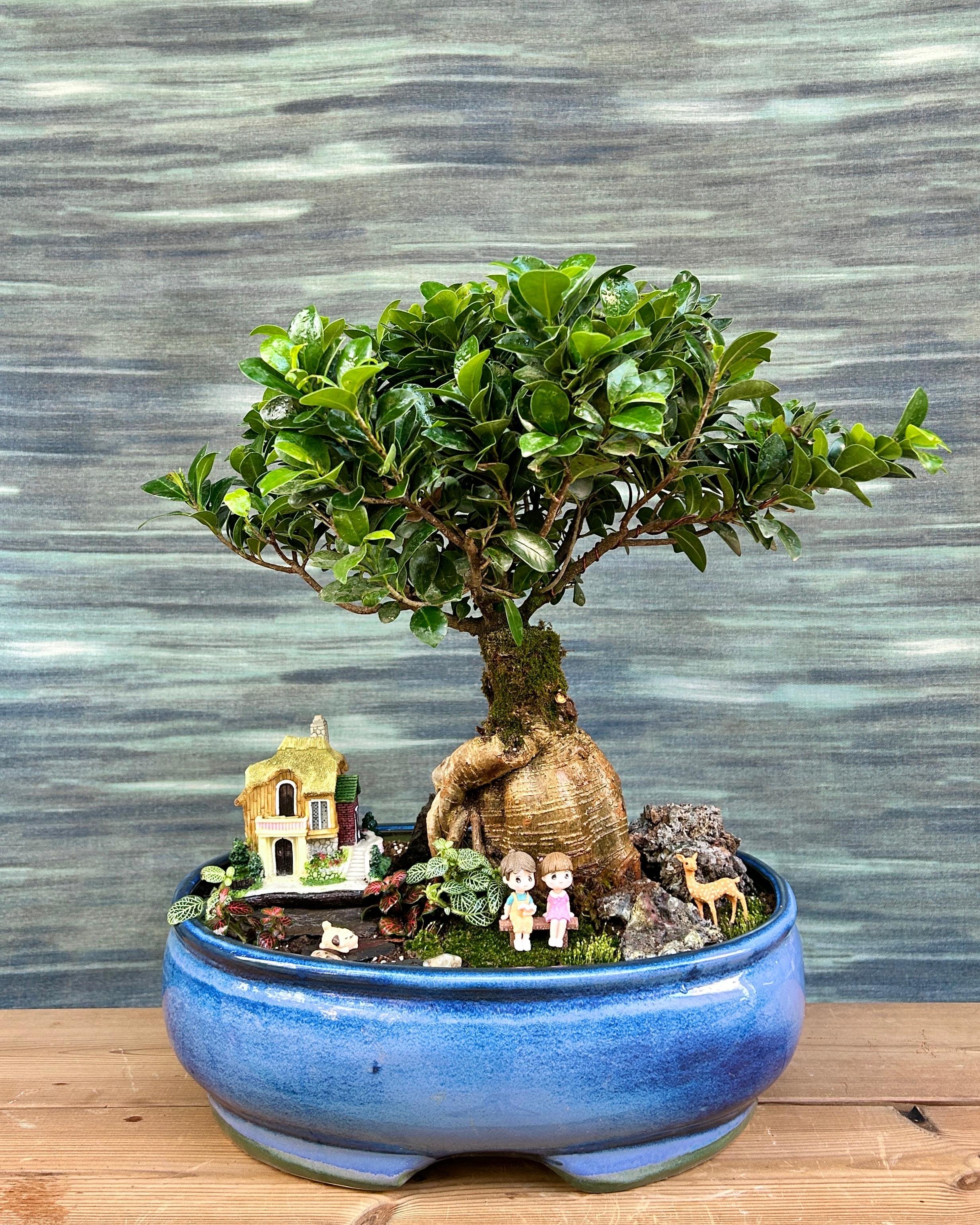 Storybook Cottage Bonsai with Ginseng bonsai tree, miniature cottage and garden details, whimsical bonsai landscape for homes in Delhi