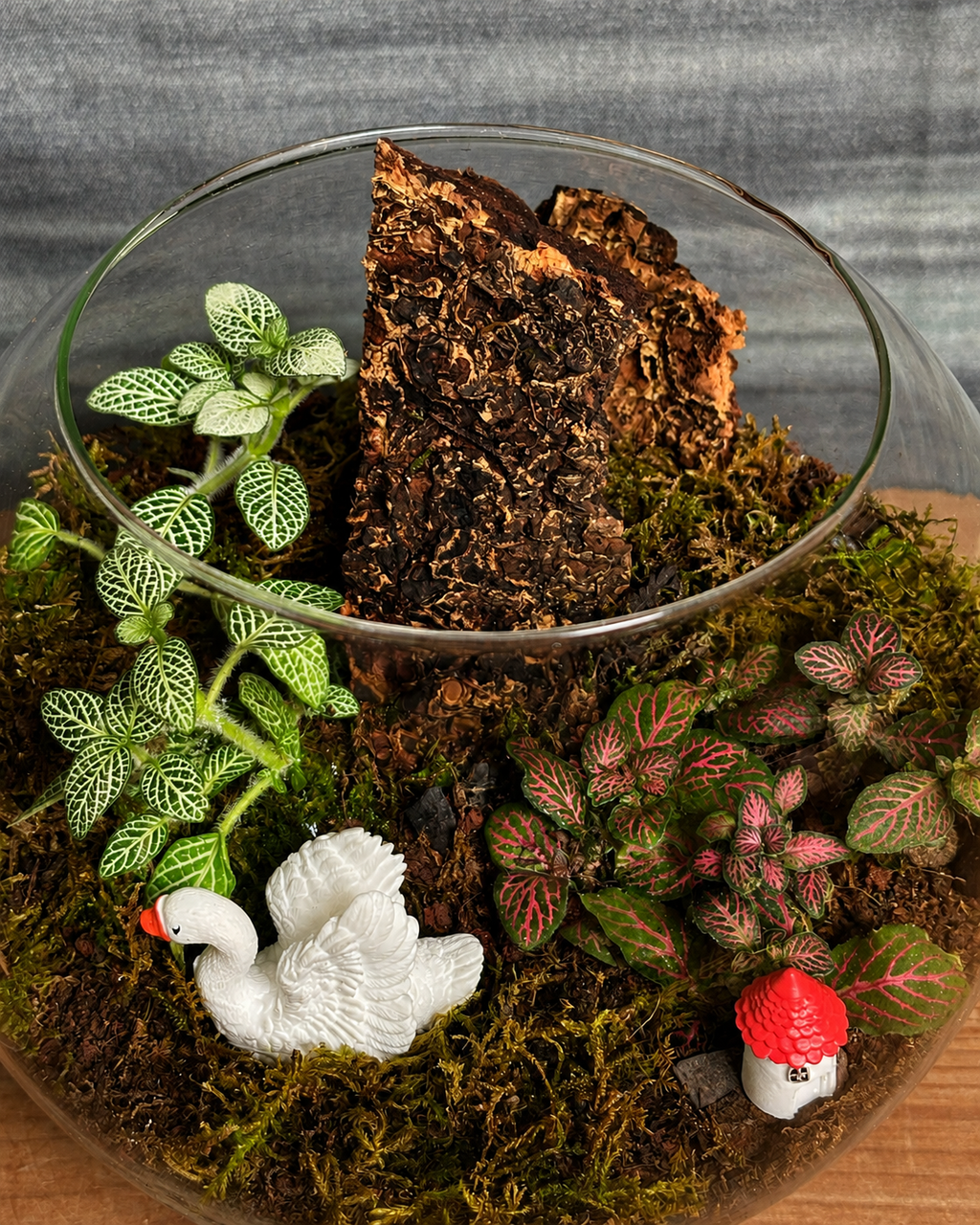Glass Swan & House Fish Bowl terrarium from Planterie, available as indoor plants online India and terrarium gifts India, perfect for plant gifting in Delhi, custom terrarium gifts in Delhi, premium plant gifts in India and bulk terrarium gifts for events in Delhi