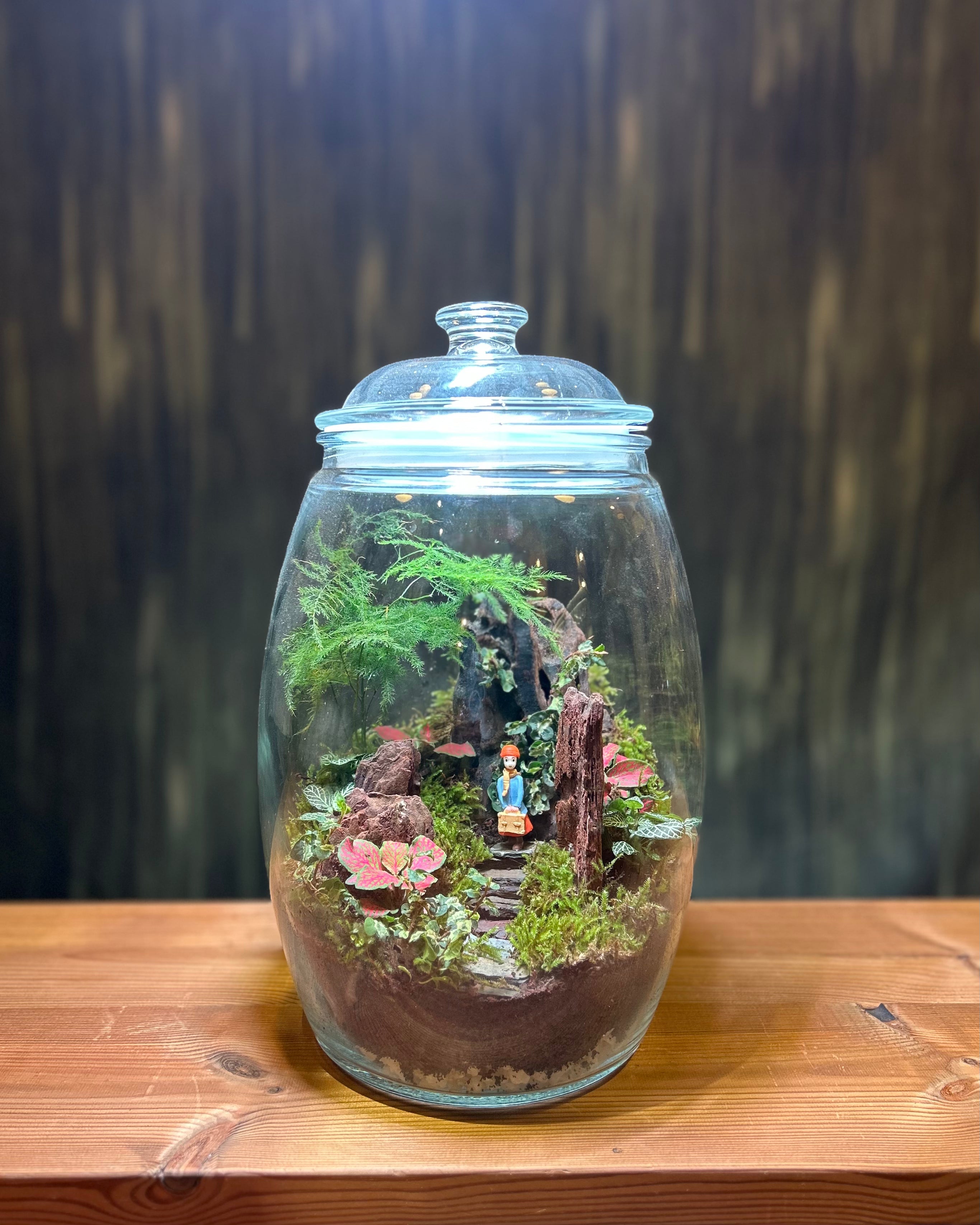 Waiting in Woods DIY terrarium kit from Planterie, a self-sustaining glass terrarium project that lets you build your own tiny forest with live moss, plants and miniatures, perfect as terrarium in Delhi for creative plant gifts in Delhi and plant gifting near me Delhi