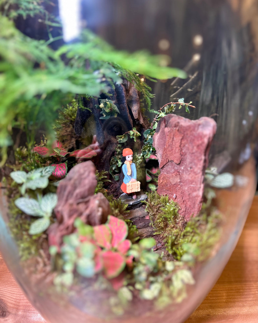 Waiting in Woods self-sustaining terrarium from Planterie, designed as a tiny weather system that needs minimal watering and gentle indirect light, ideal for low maintenance indoor plants for beginners, indoor plants for low light in Indian homes and best plants for AC rooms in India