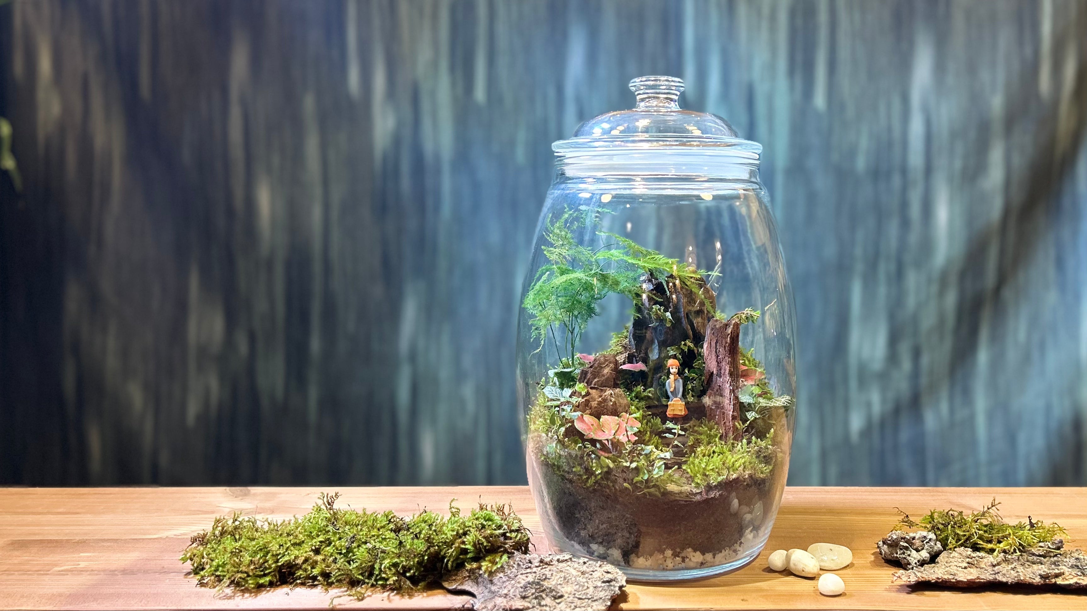 Waiting in Woods terrarium kit components from Planterie plant studio in Delhi, including pickle jar container, live moss pouch, terrarium kit materials and miniature people and figures, ideal for diy terrarium workshop Delhi, kids terrarium workshop Delhi and plant workshop in Delhi at home