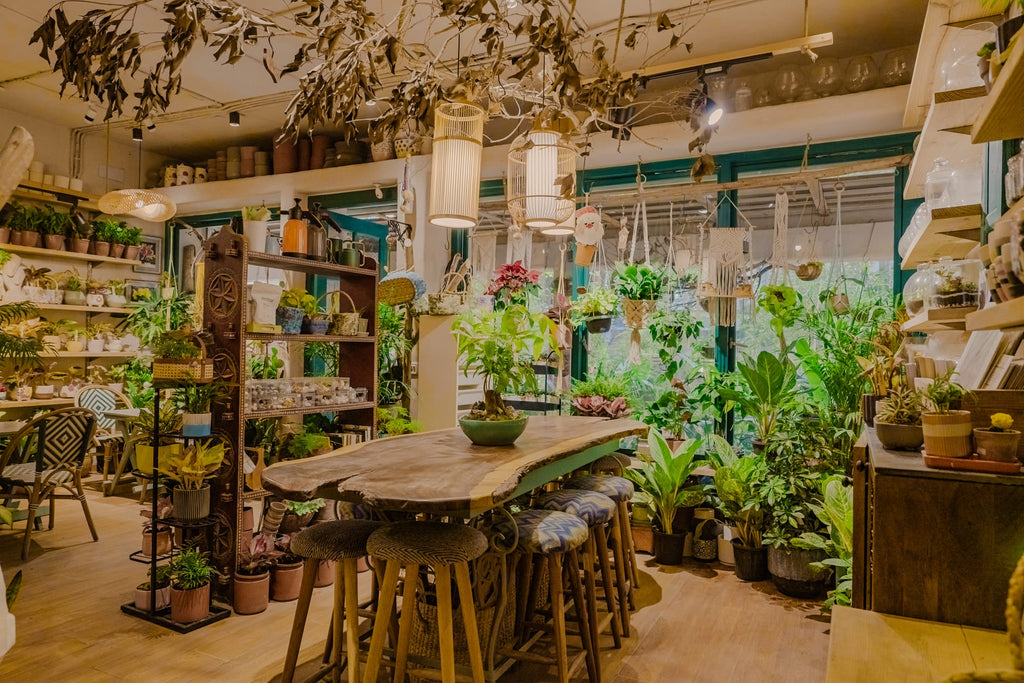 Private Events (Weekdays only | 4 - 10 people) Planterie