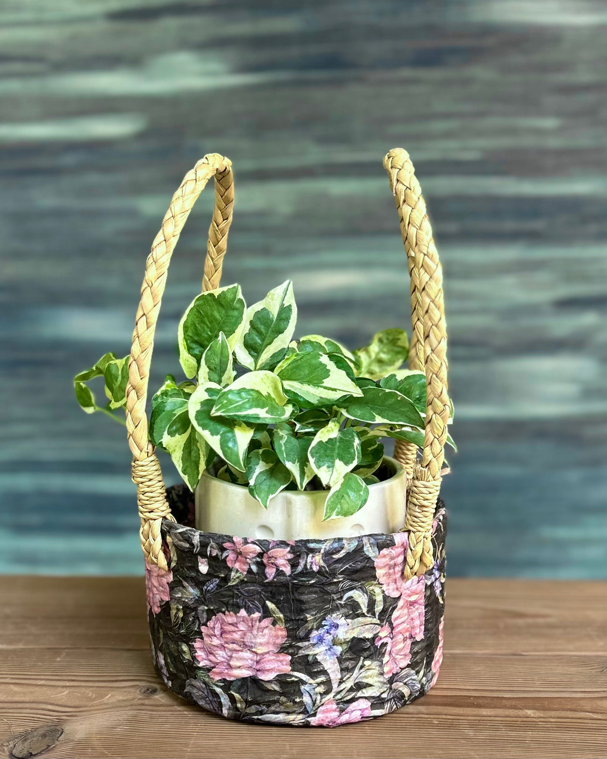 Pothos in Green Tribal
