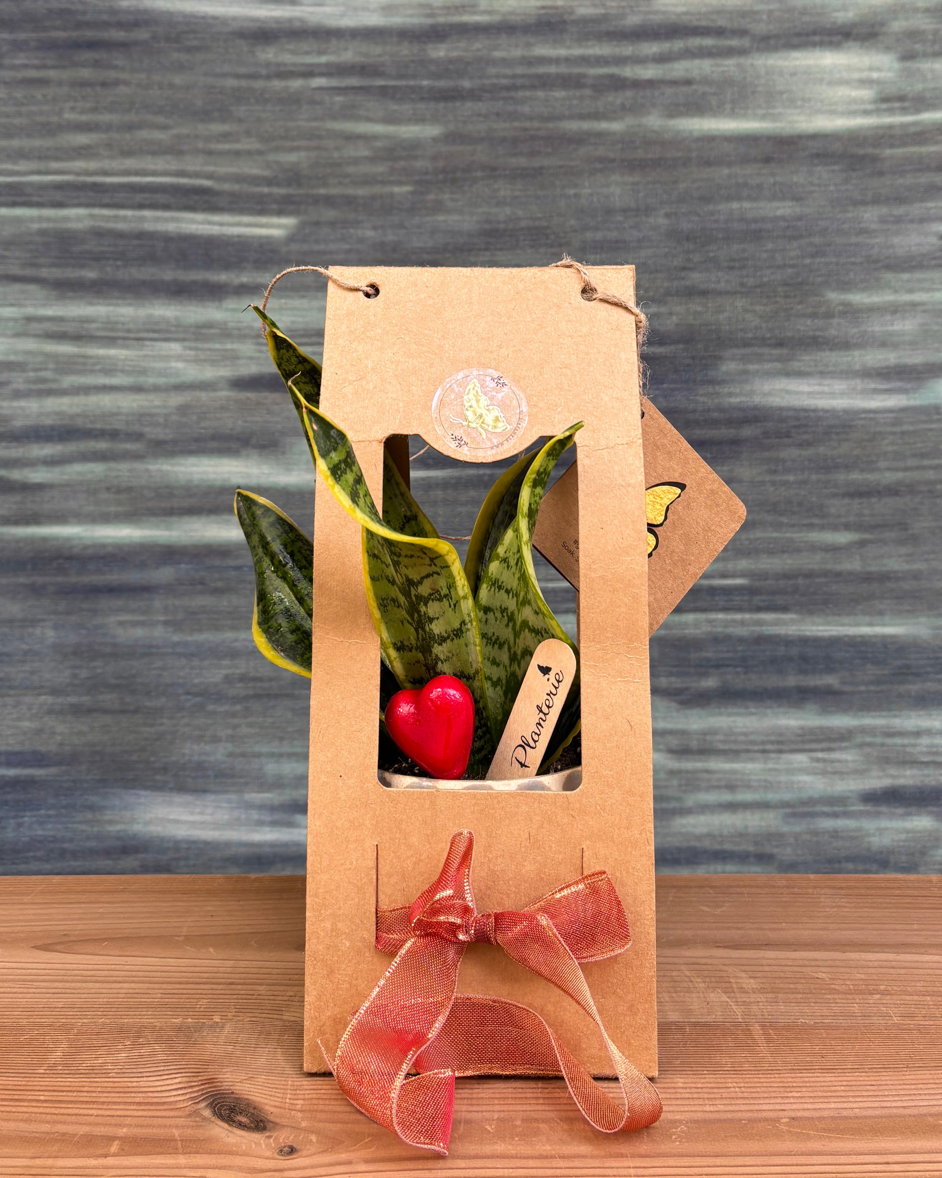 Snake in Grey Diamond