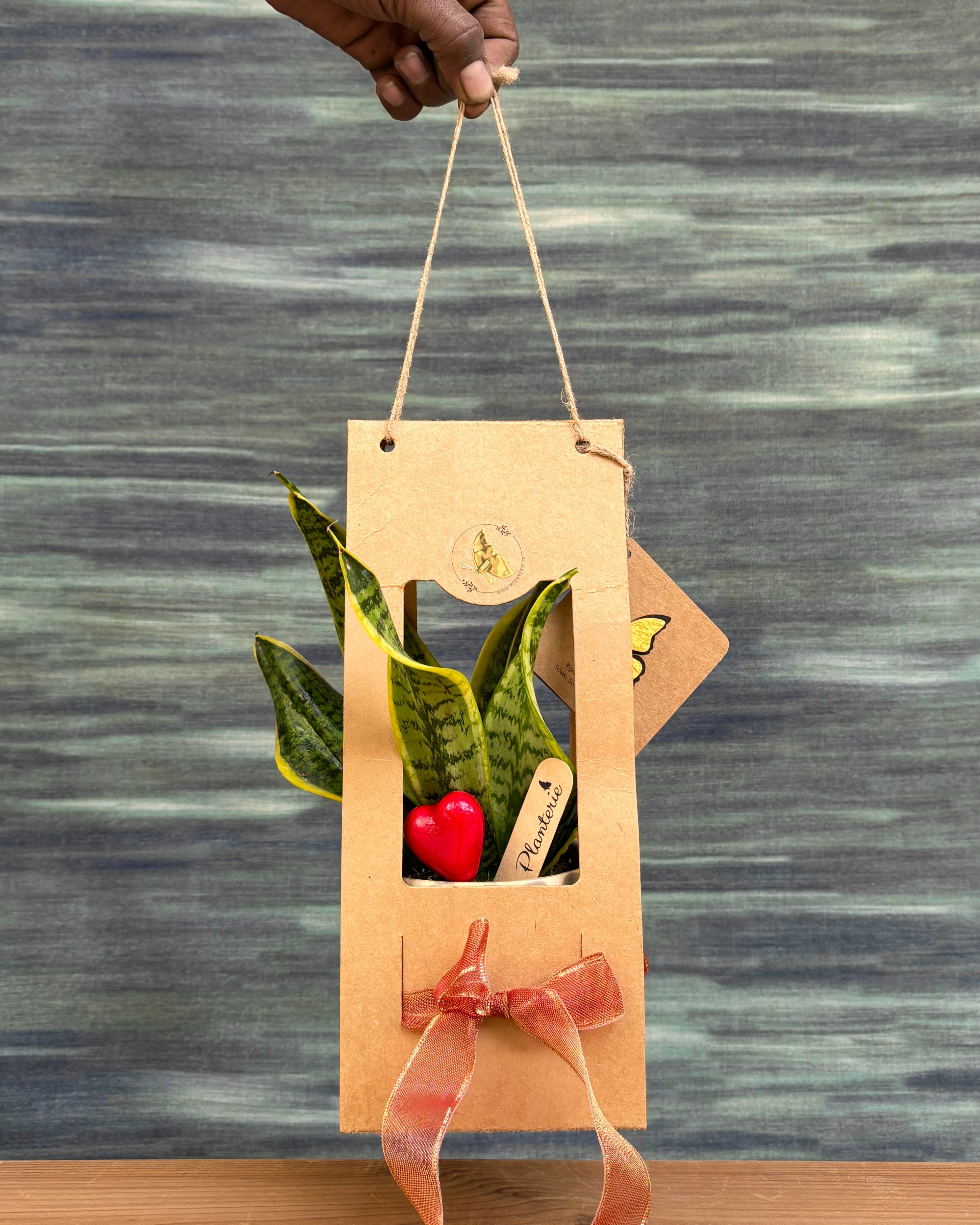 Snake in Grey Diamond