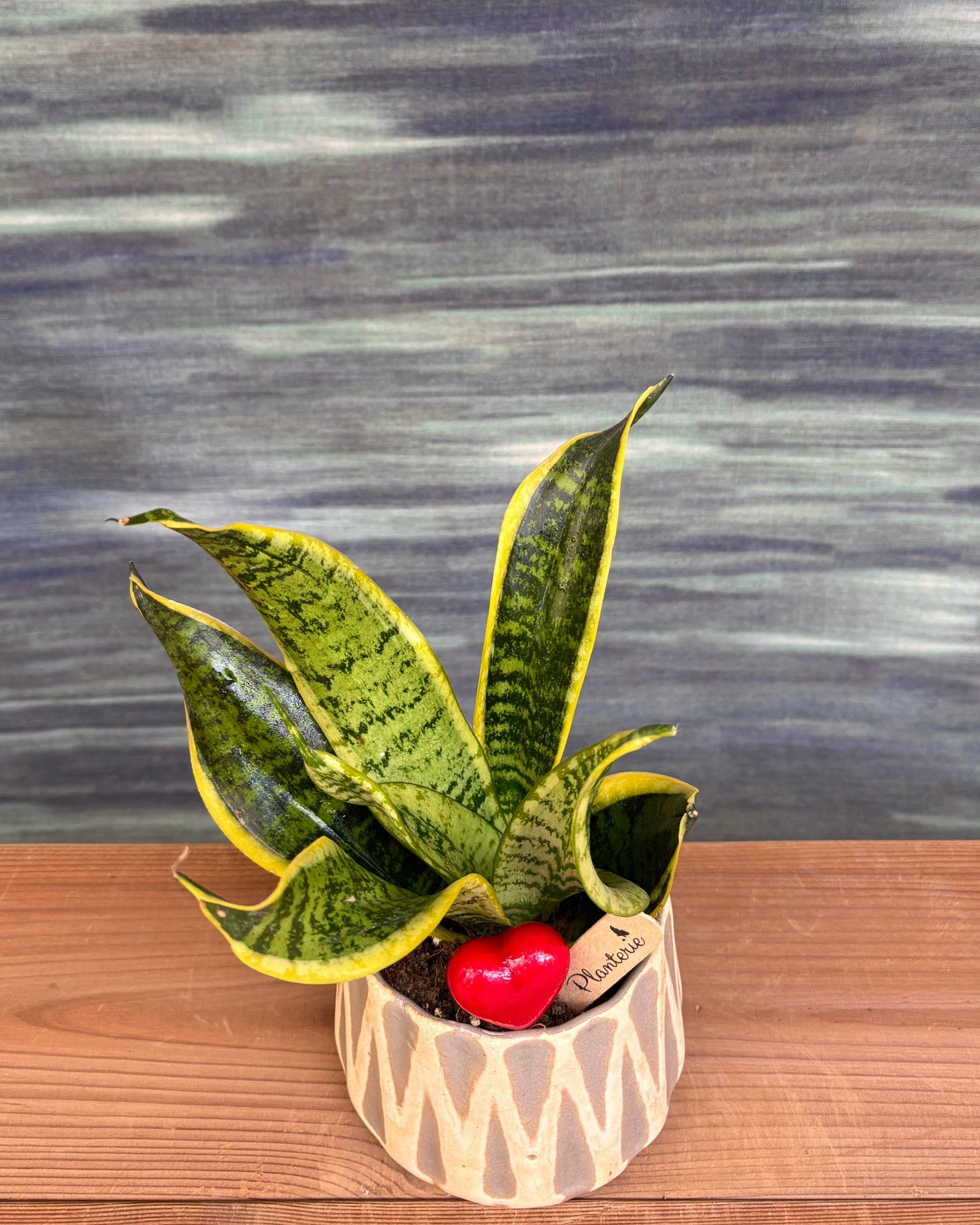 Snake in Grey Diamond