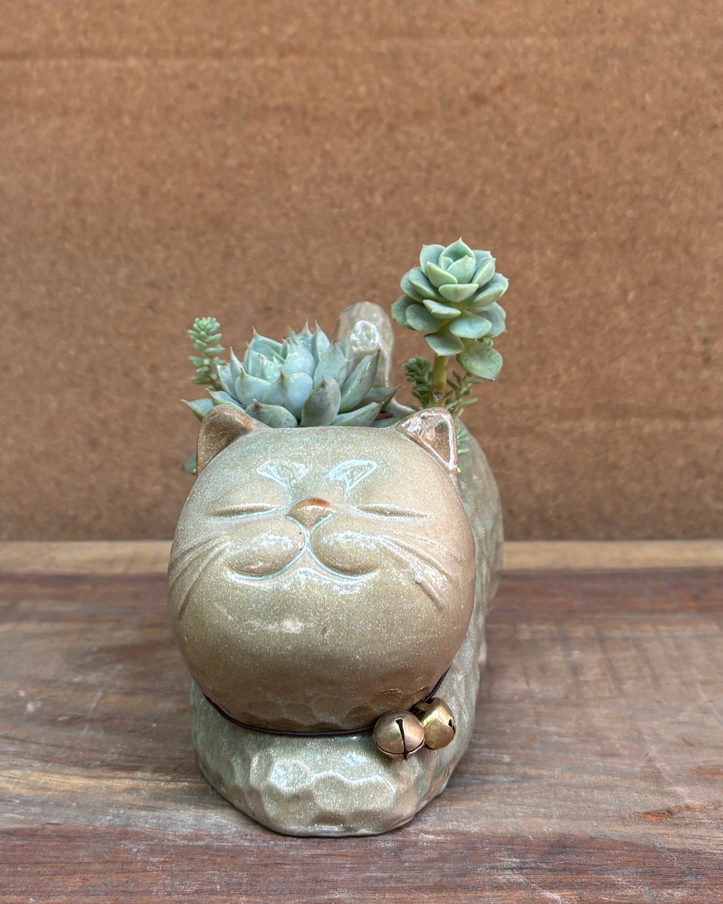 Succulent arrangement in green ceramic kitten planter from Planterie plant studio in Delhi perfect for indoor plants gifting for World Environment Day