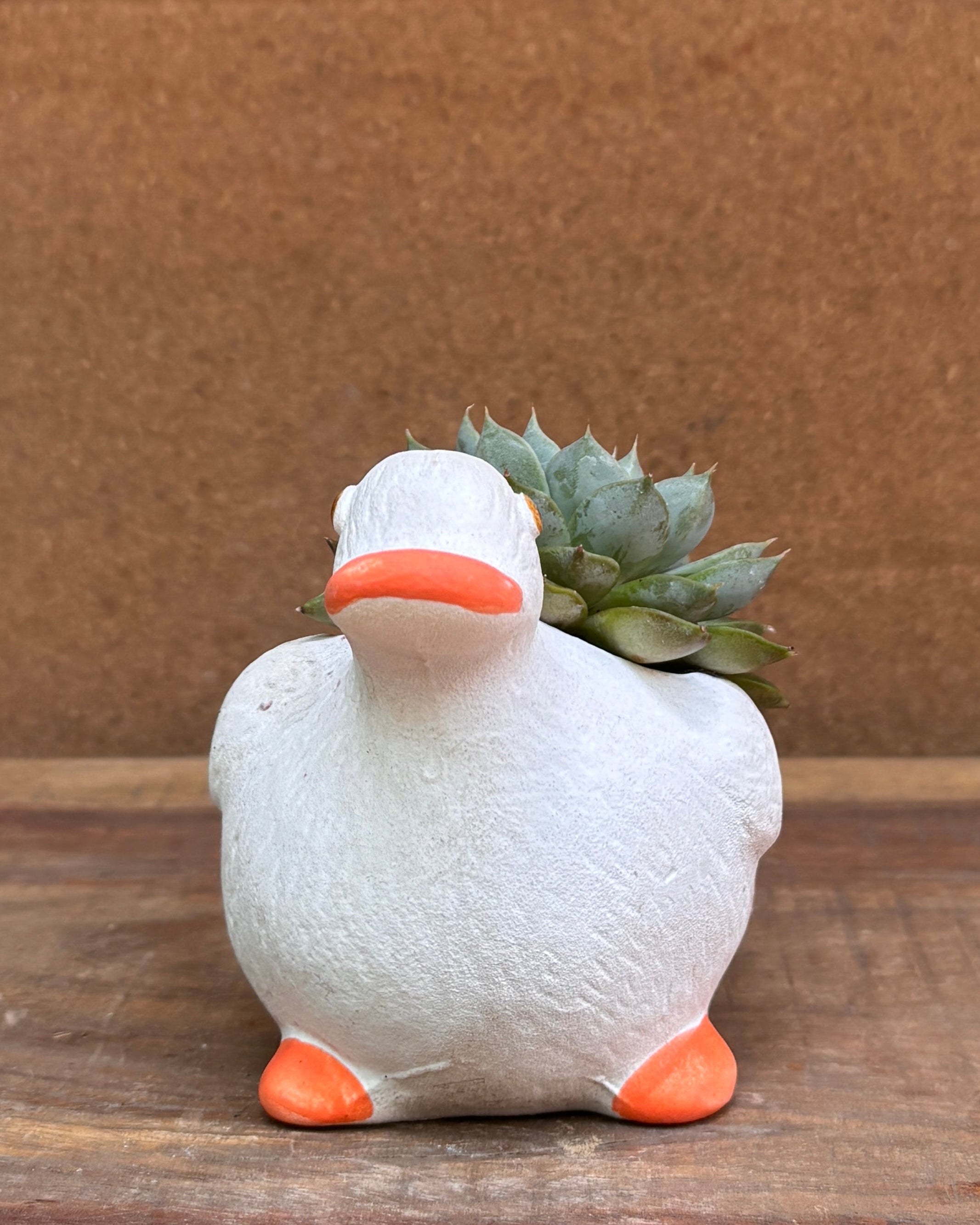 Succulent arrangement in whimsical white ceramic duck planter from Planterie plant studio in Delhi perfect for indoor plants gifting  for World Environment Day