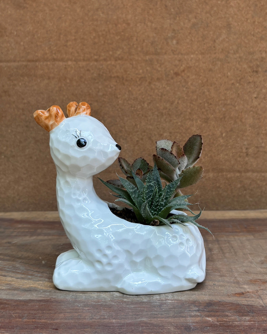 Succulent arrangement in sculptural white ceramic fawn planter from Planterie plant studio in Delhi perfect for indoor plants gifting for World Environment Day