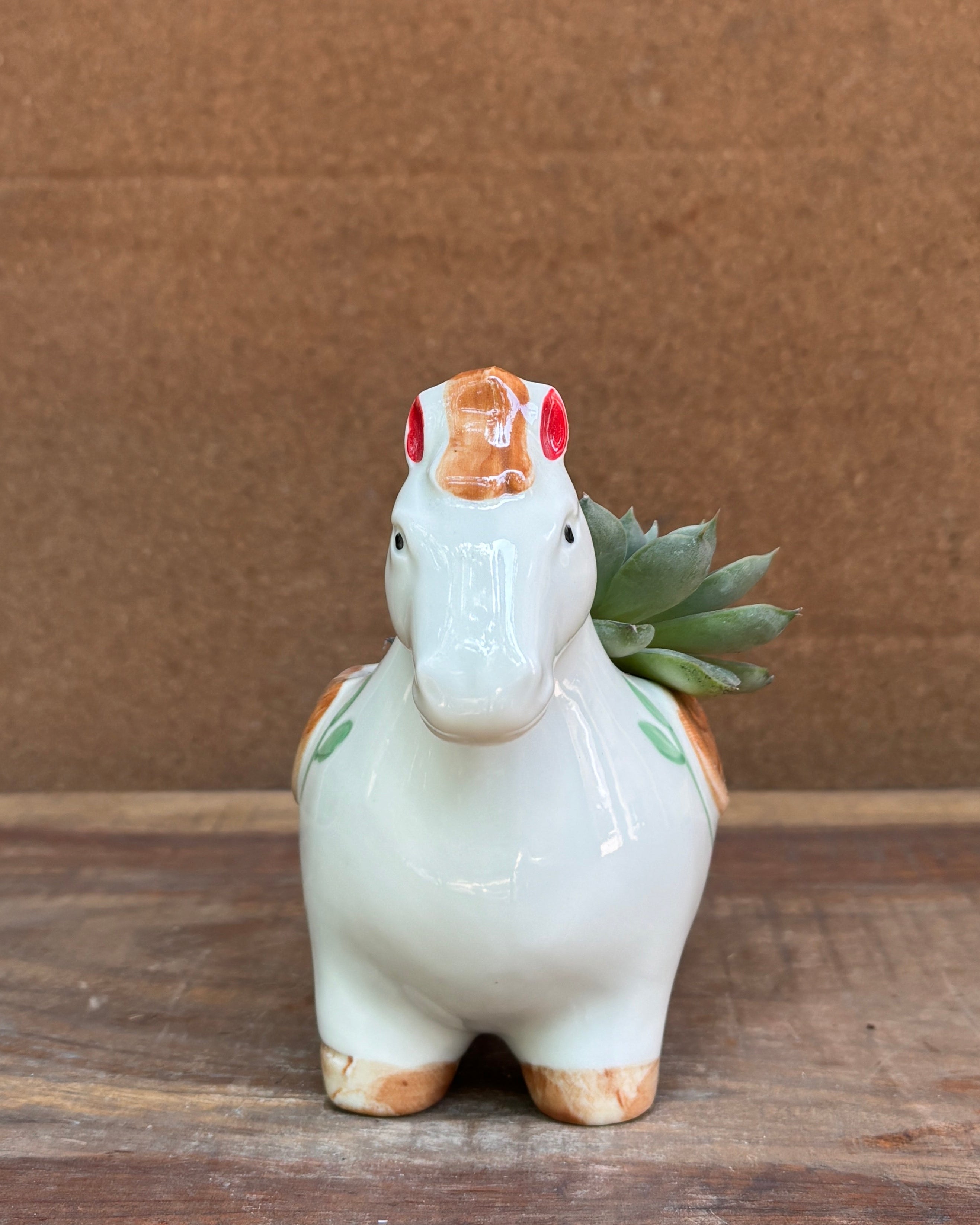 Succulent arrangement in elegant white ceramic horse planter from Planterie plant studio in Delhi perfect for indoor plants gifting for World Environment Day