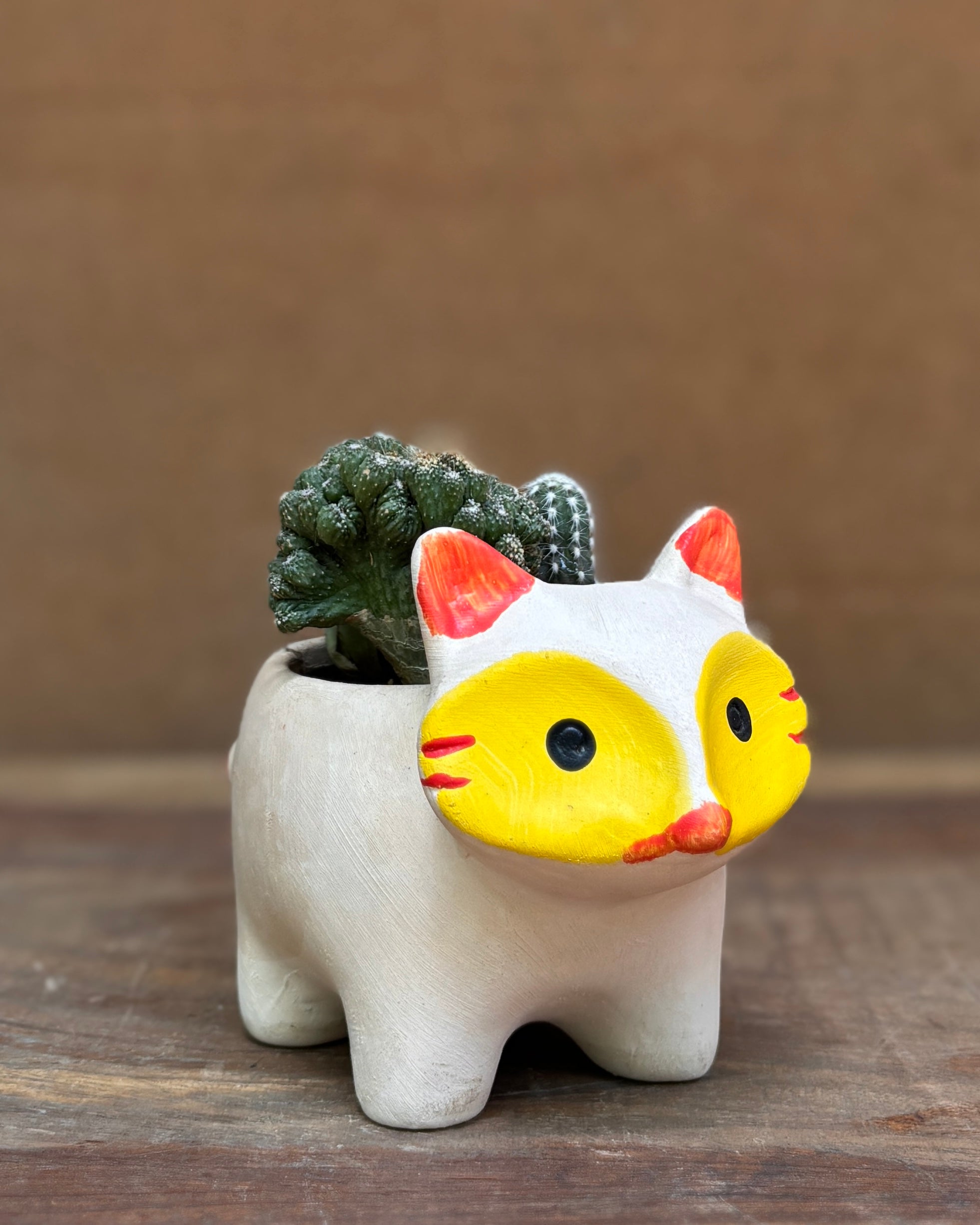 White ceramic fox planter with hand curated succulent arrangement from Planterie plant studio in Delhi perfect for indoor plants gifting for World Environment Day