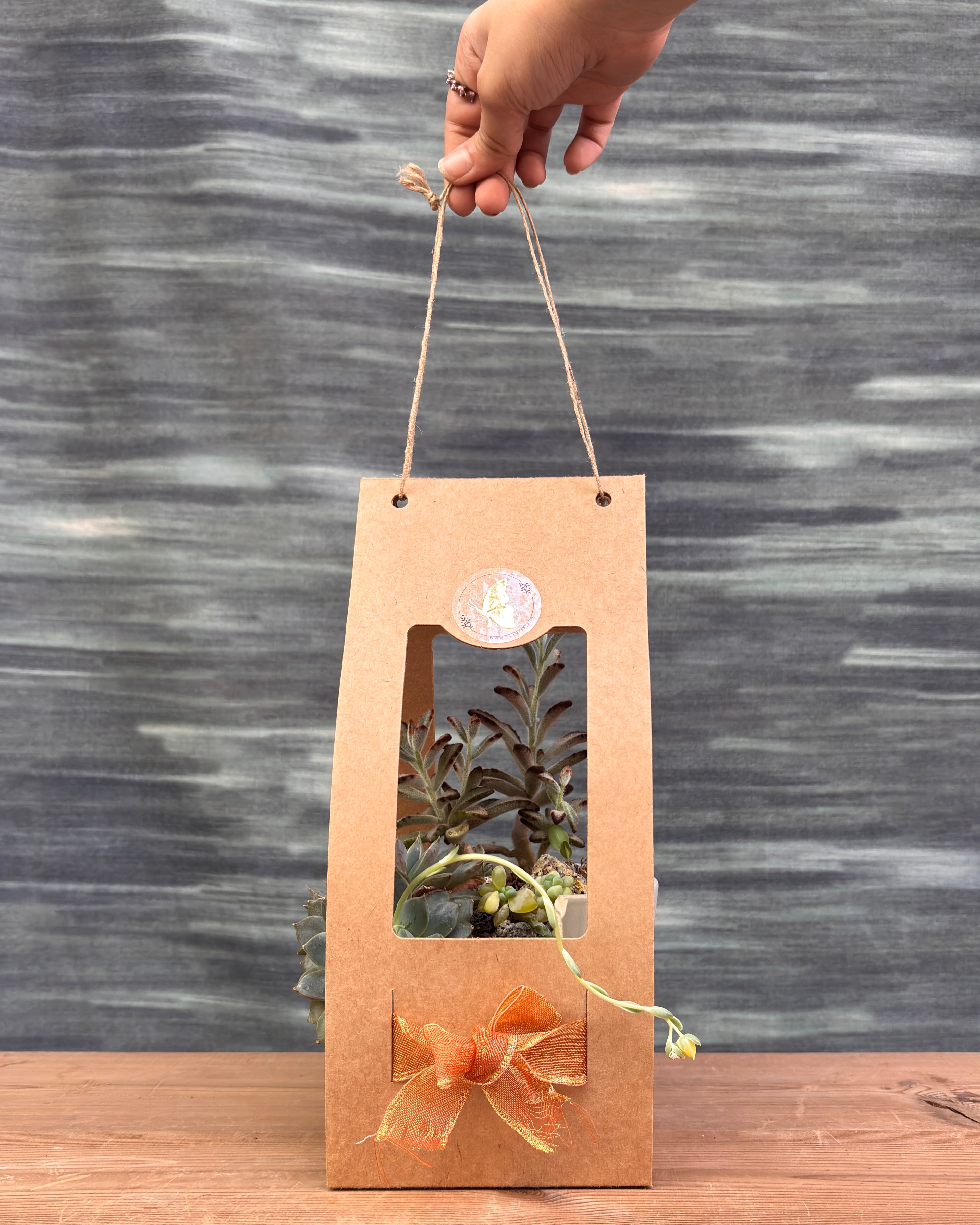 Special Succulent Arrangement in Broken Pot