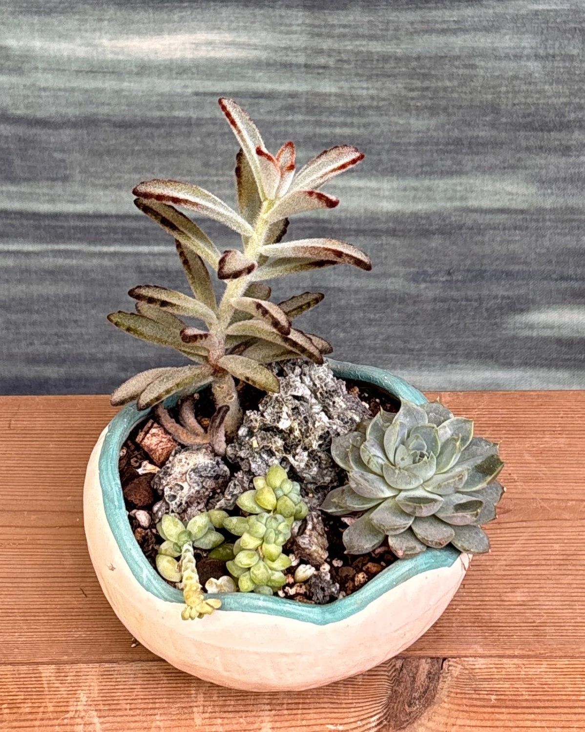 Soft Greens Succulents in Crooked Bowl